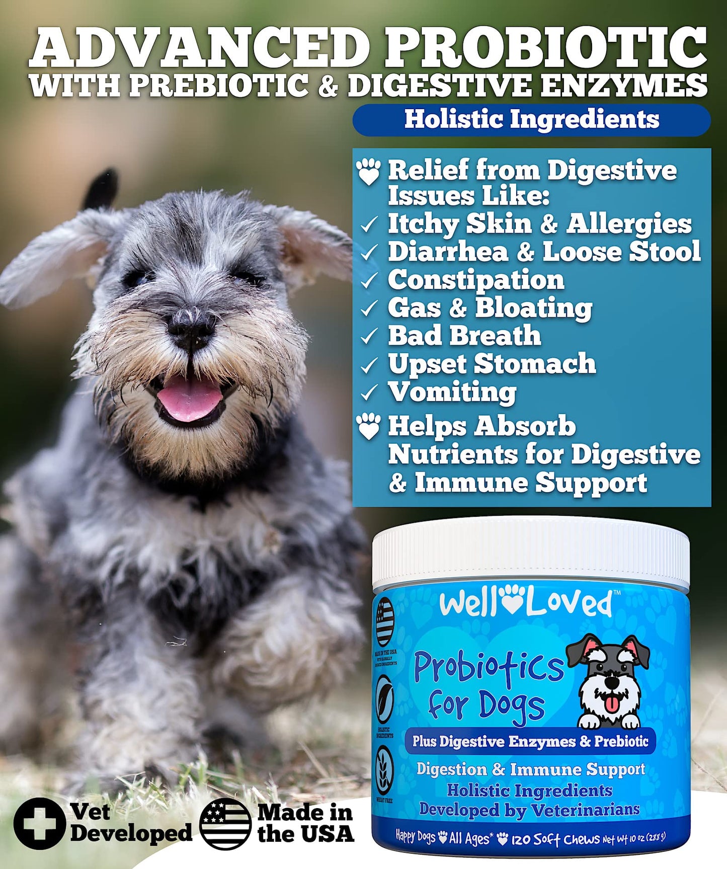Well Loved Probiotics for Dogs, Dog Probiotics, Made in USA, Vet Developed for Gut Health, Yeast Balance, Itchy Skin, Diarrhea & Gas Relief, Chews with Prebiotic & Digestive Enzymes, Digestive Support