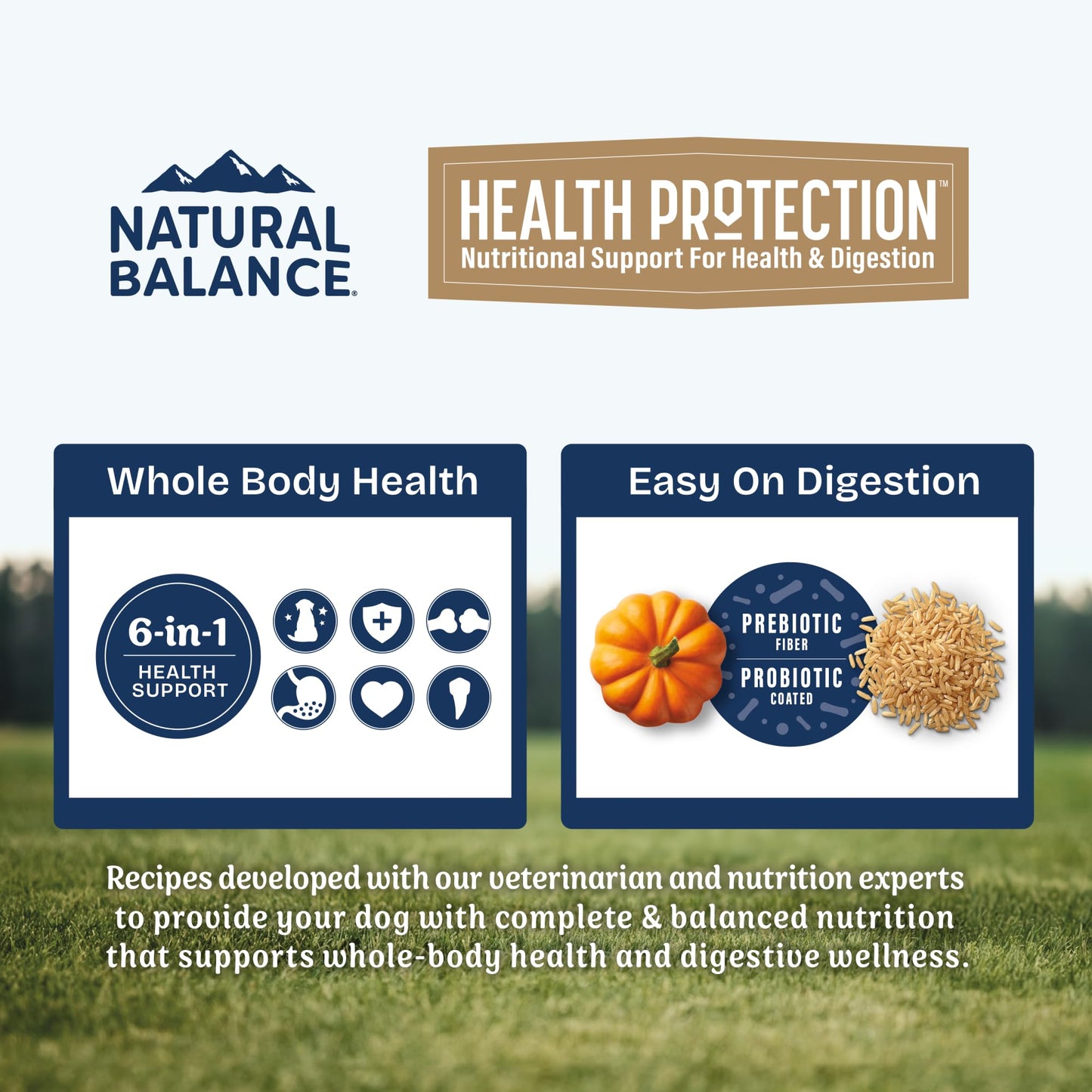 Natural Balance Health Protection Puppy Dry Dog Food – Whole Body Health, Easy on Digestion Dog Food Made with Chicken, Brown Rice & Pumpkin for Puppies - 4lbs.