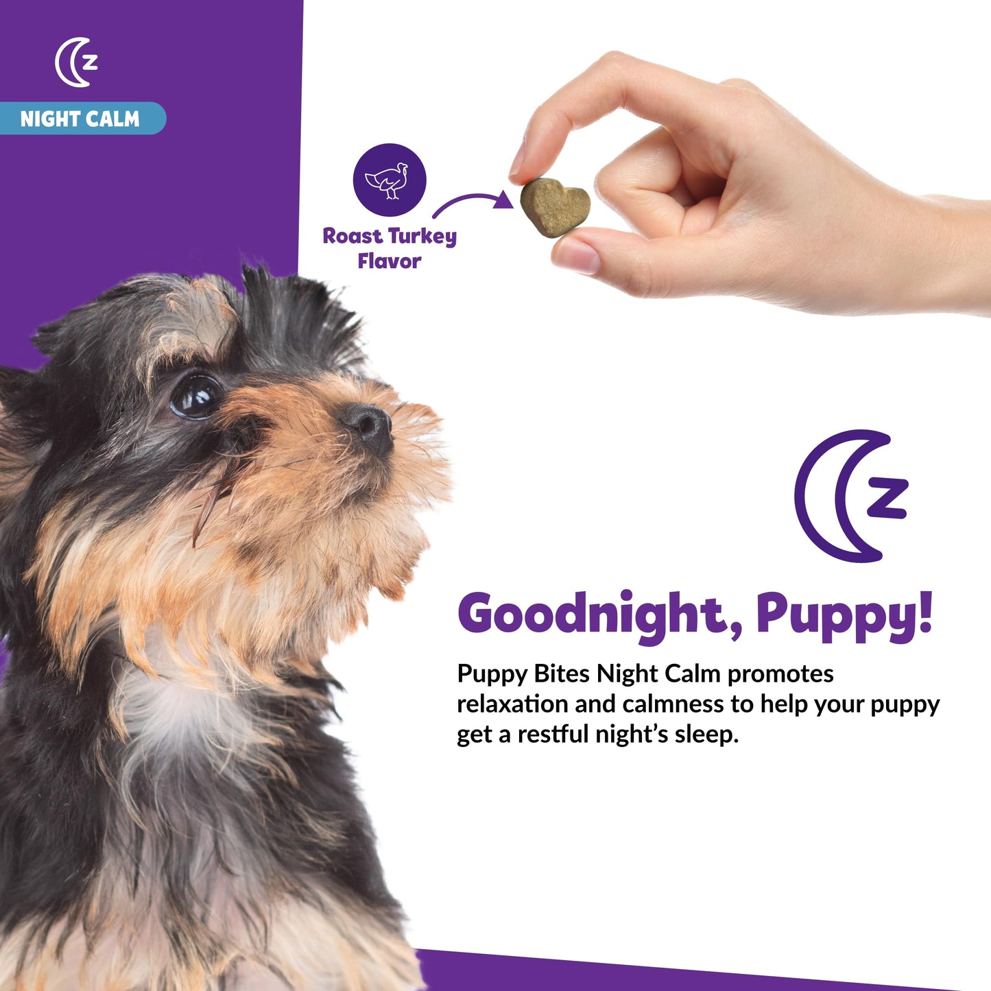 Snuggle Puppy Night Calm Puppy Bites with Melatonin, Chamomile & Ashwagandha - Calming Treats for Dogs - Melatonin for Dogs to Support Restfulness & Sleep - 60 Soft Chew Dog Treats