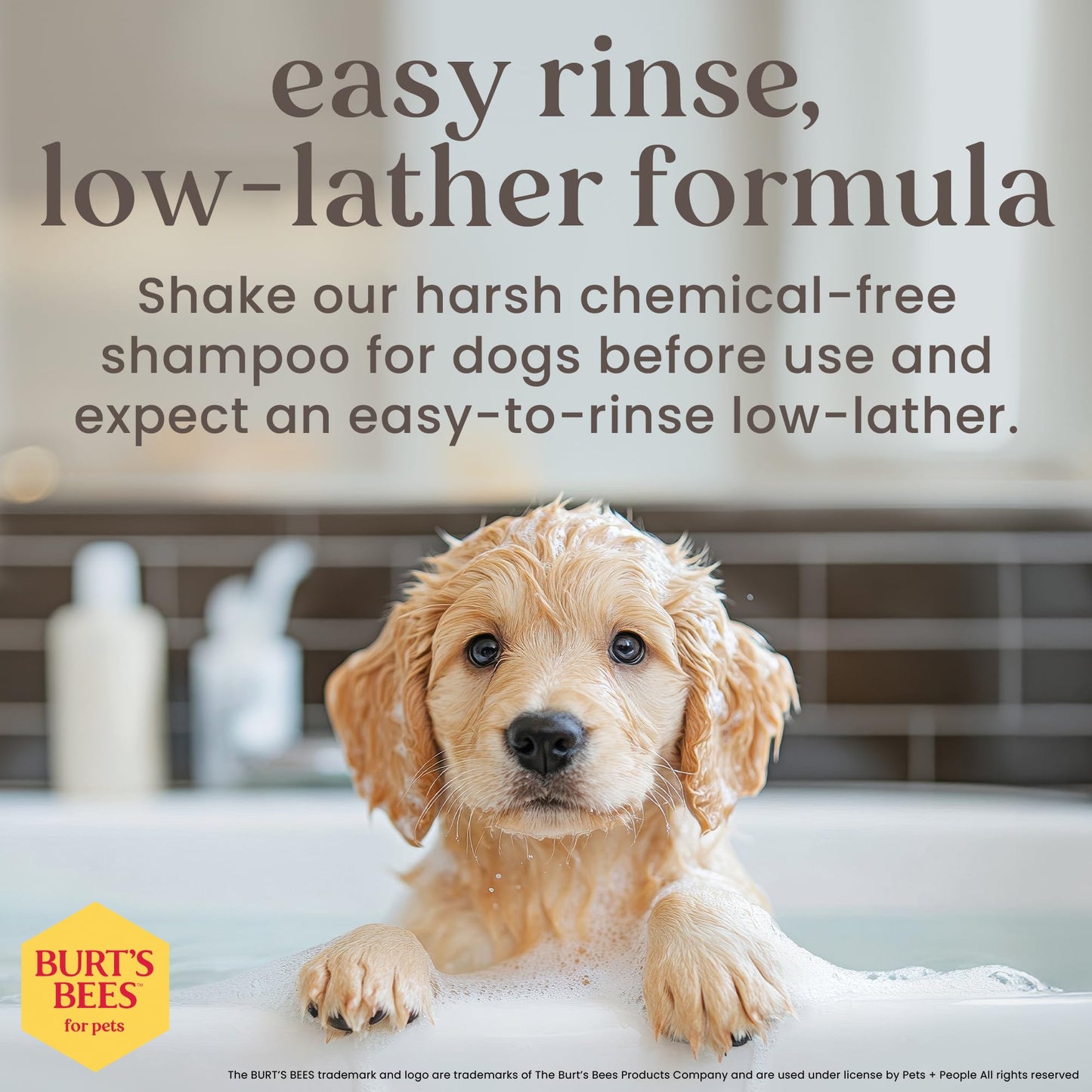Pet'OCERA Plus 2-in-1 Dog Shampoo and Conditioner for Allergic, Itchy, Dry, Sensitive Skin, Deordorizing Detangler, Puppy Safe, Protects Skin Barrier, Tearless, Sulfate-Free, 16.9 fl oz/500ml