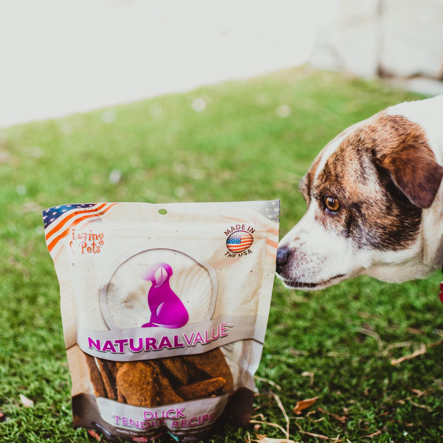 Loving Pets Natural Value All Natural Soft Chew Duck Tenders Dog Treat, 14-Ounce (8051)