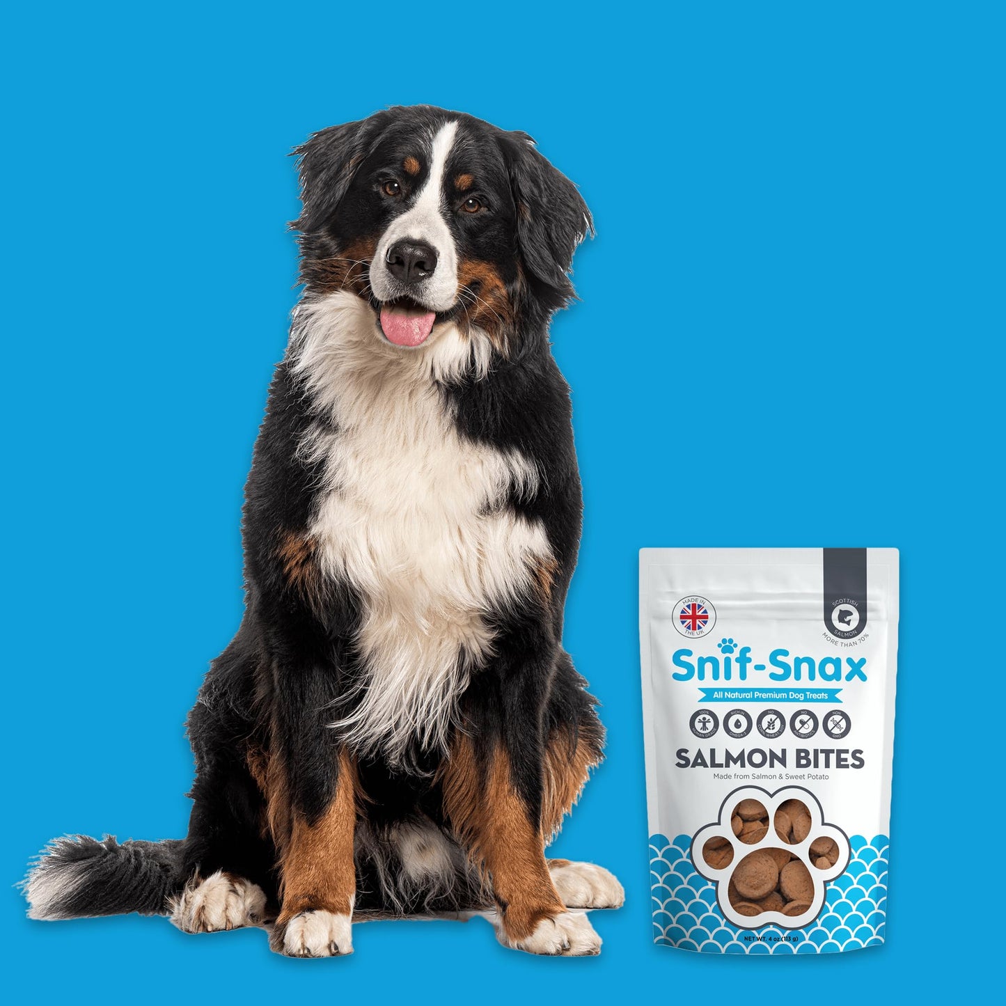 Snif-Snax Salmon Bites Dog Treats 3 Pack – All Natural, Healthy Training & Reward Treats for Dogs – Human Grade, High Protein