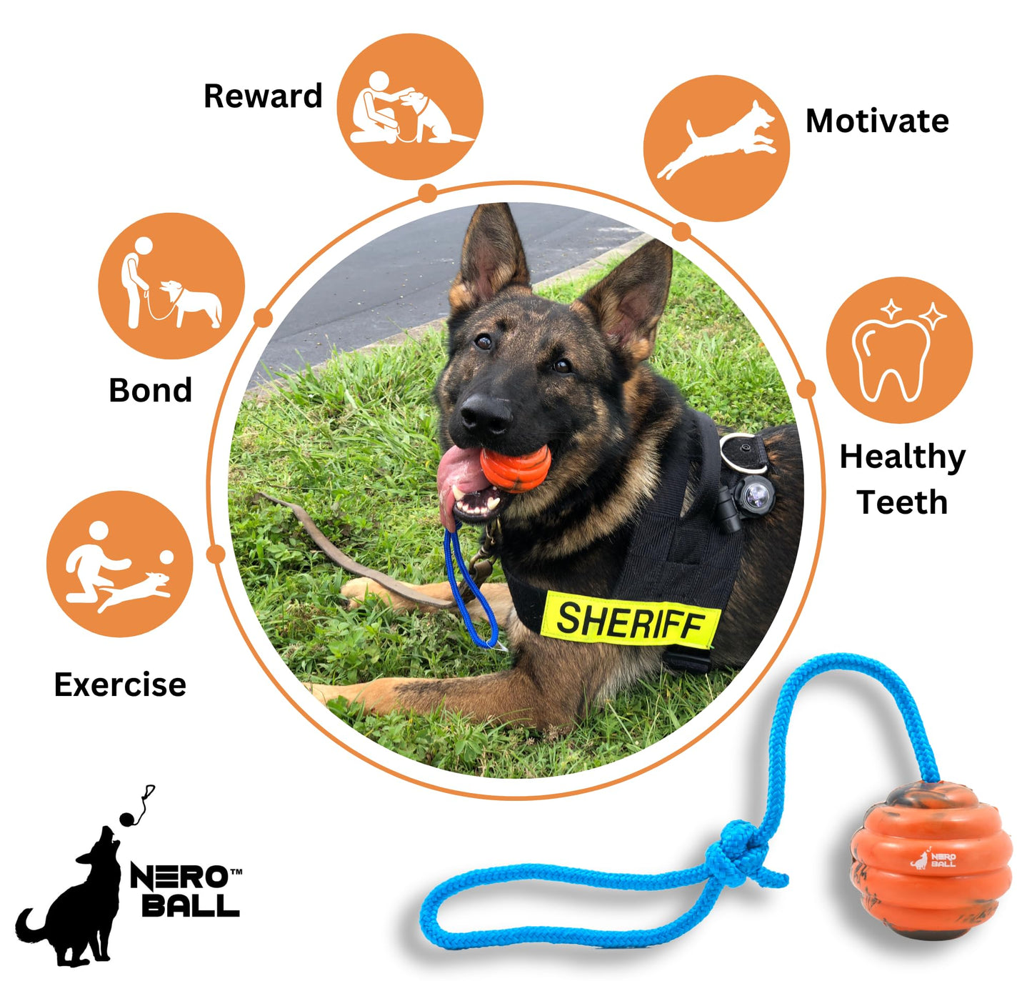 Nero Ball Pro K-9 Dog Training Ball on Rope – 2.75″ Heavy-Duty Natural Rubber Reward & Tug Toy with Nylon Throw Handle – High-Visibility Orange – Police, Military & Sport Working Dogs Fetch