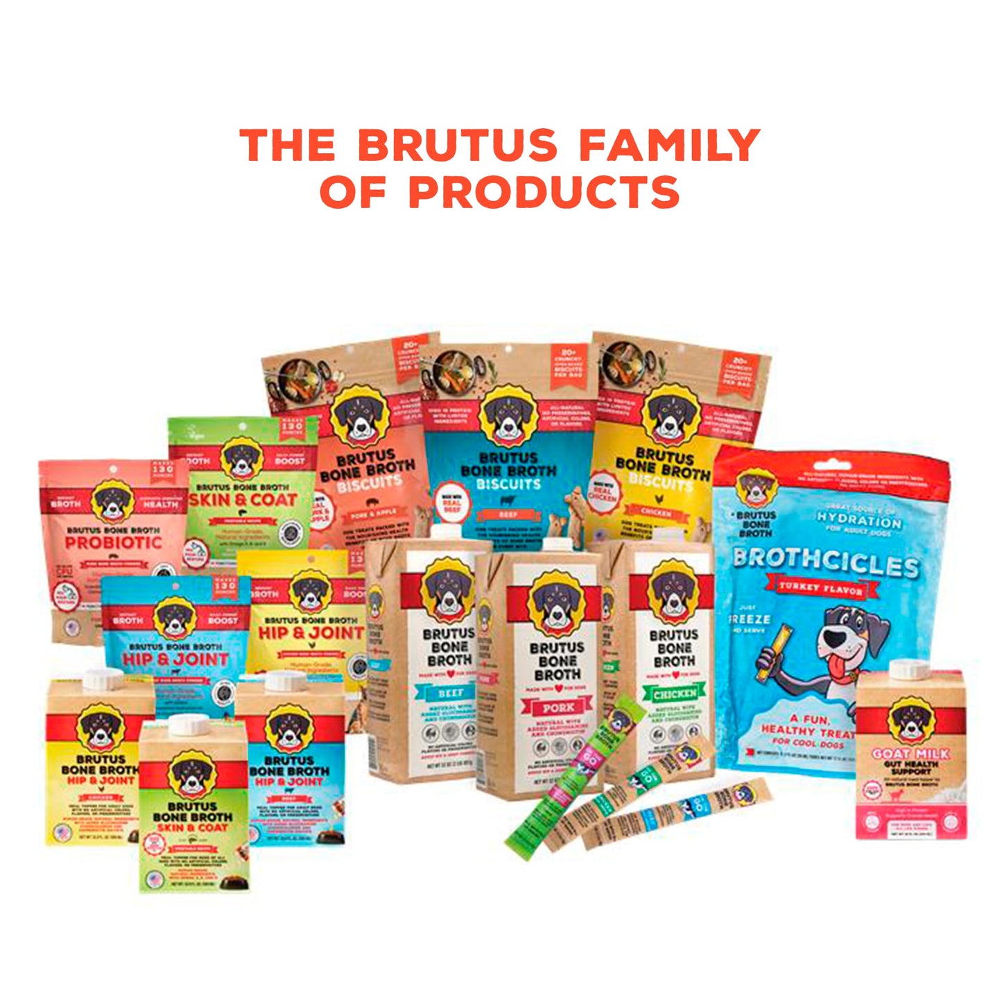 Brutus Vegetable Broth for Dogs 16.9 oz | All Natural | Made in USA | Omegas & Turmeric for Healthy Skin & Coat | Human Grade Ingredients | Hydrating Dog Food Topper, Gravy & Treat Salmon (Pack of 6)
