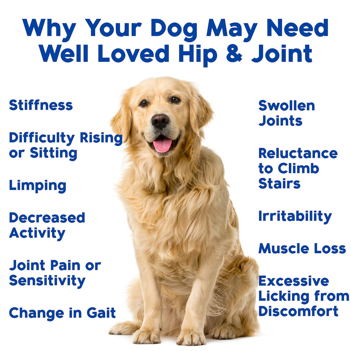 Well Loved Glucosamine for Dogs - Joint Supplement for Dogs, Made in USA, Vet Developed, Glucosamine Chondroitin, Hip and Joint Chews with MSM, Large Breed, Pain Relief, 120 Chews