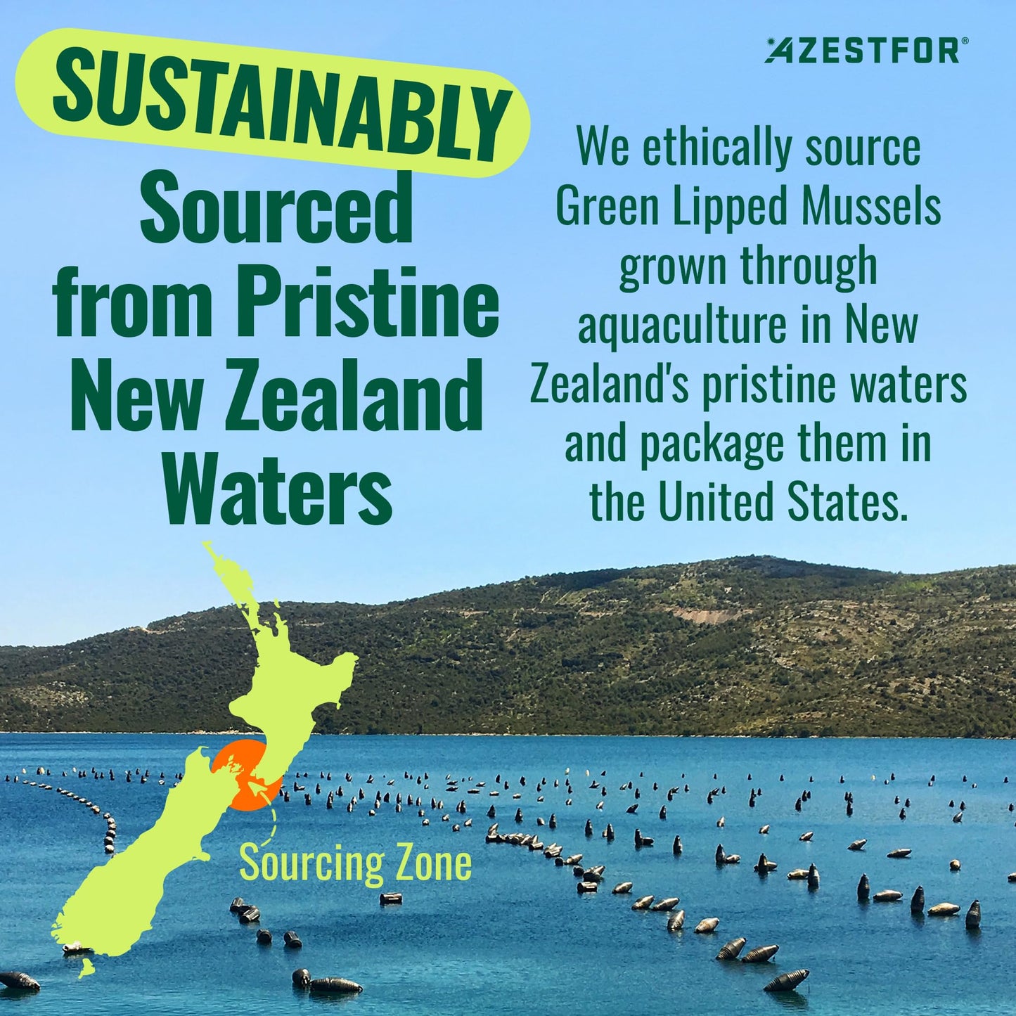 Azestfor Anti-Inflammatory Green Lipped Mussel for Dogs Powder