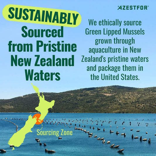 Azestfor Anti-Inflammatory Green Lipped Mussel for Dogs Powder