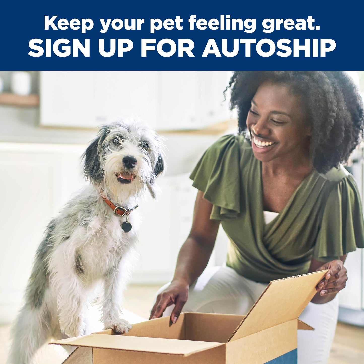 Hill's Science Diet Small & Mini, Senior Adult 11+, Small & Mini Breeds Senior Premium Nutrition, Dry Dog Food, Chicken, Brown Rice & Barley, 15.5 lb Bag