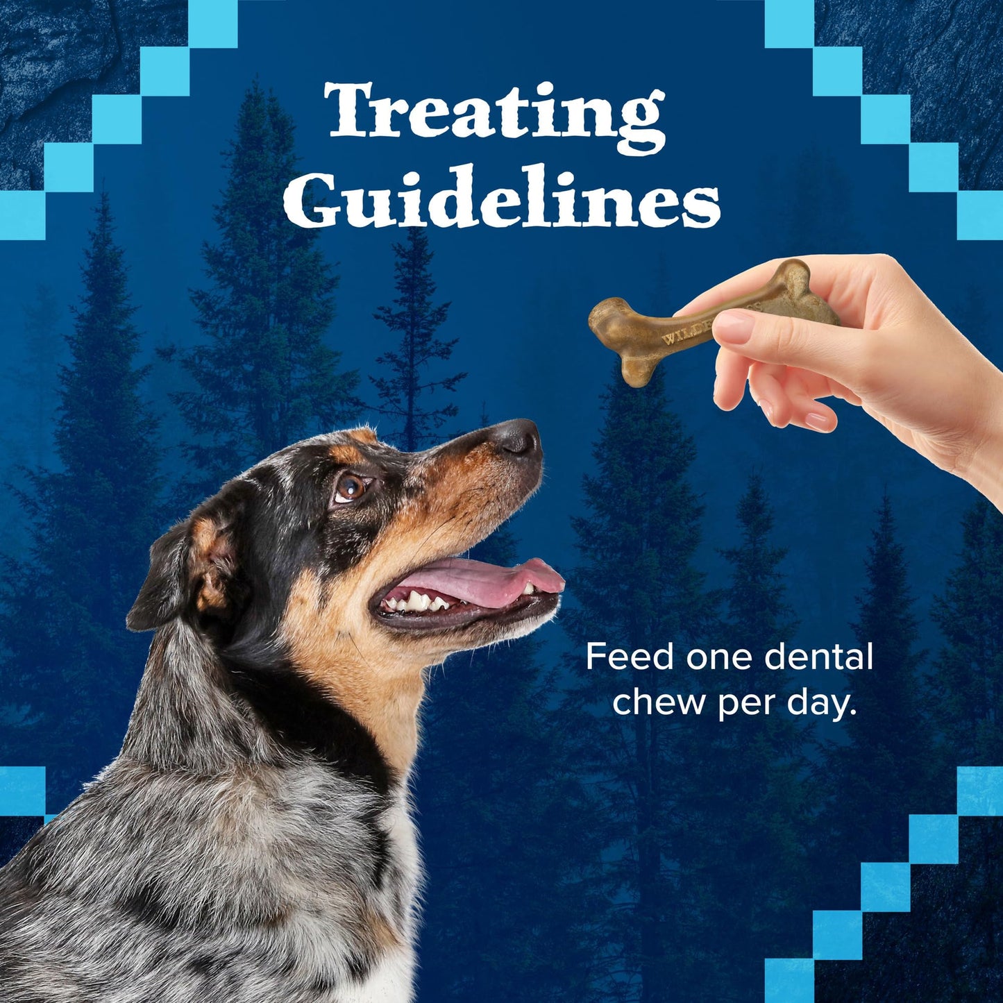 Blue Buffalo Wilderness Wild Bones Grain-Free Dental Chews Dog Treats, Mini, 27-oz Bag