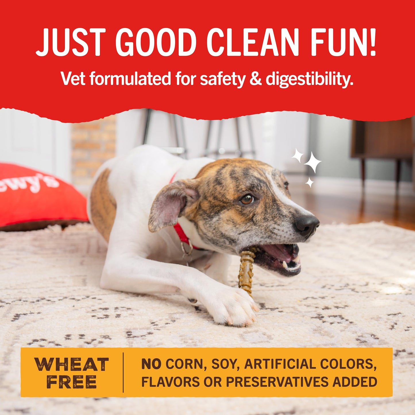 Stella & Chewy's Dental Delights - Freeze-Dried Raw Chicken Dental Treats for Small Dogs - Teeth Cleaning & Breath Freshening Chews with Ridges & Nubs - Made in USA - 5.5 oz - 11 Small Treats