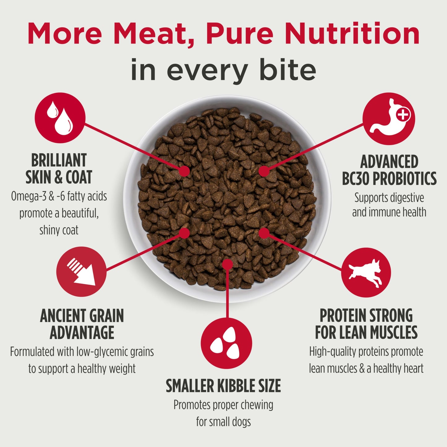 Nulo Frontrunner Ancient Grains High-Protein Small Breed Dog Food, Turkey, Whitefish, & Quinoa Recipe- Natural Dry Dog Food with Probiotics, Grain-Inclusive Kibble for Adults & Puppies, 5 lb Bag