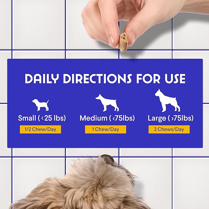 Premium Multivitamin for Dogs Daily Multi for Immune, Mood, Joint, Skin, Heart & Digestive Health - 21 in 1 Dog Multivitamins for Optimal Health Essential - 60 Multivitamin Dog Chews