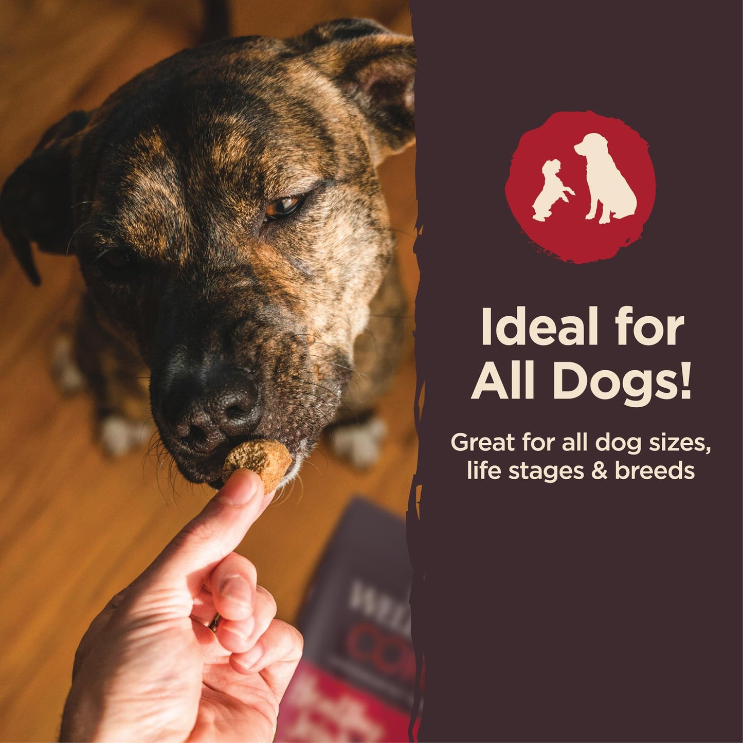 Wellness CORE Healthy Joints Dog Treats, Natural, Grain Free, 8 oz