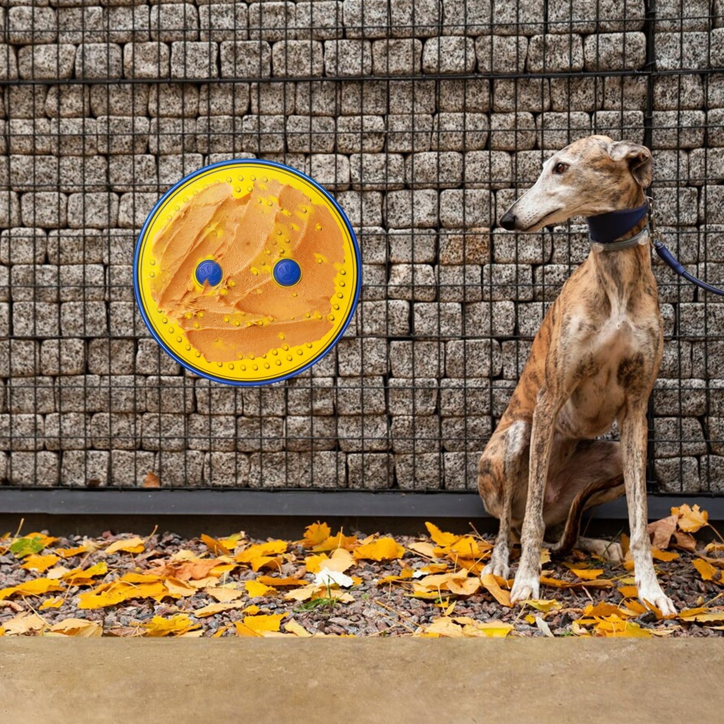 Lick Mat for Large Dogs, 6” Large Dog Peanut Butter Lick Pad for Crate with Stainless Steel Base, Boredom & Anxiety Reduce, Slow Feeding, Dog Slow Feeder Mat (Large, Anit-Tear)