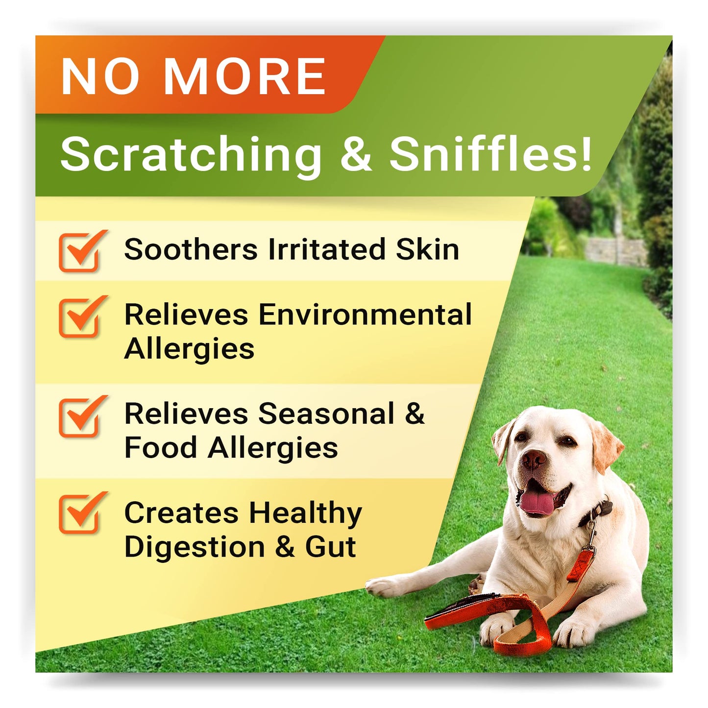 Allergy Relief + Hemp + Glucosamine Dogs Bundle - Itchy Skin Treatment + Hip Joint Pain Relief - Omega3 & Pumpkin + Chondroitin, MSM - Allergy Supplement + Advanced Mobility Hemp - 240ct - Made in USA