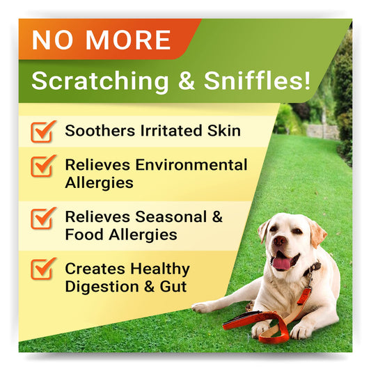 Allergy Relief 2 Packs 240 Ct + Vet Strength Probiotics - 120Ct Dogs Bundle - Dog Itchy Skin Treatment - Omega3 & Pumpkin + Digestive Enzymes + Prebiotics - Diarrhea, Gas, Constipation - Made in USA