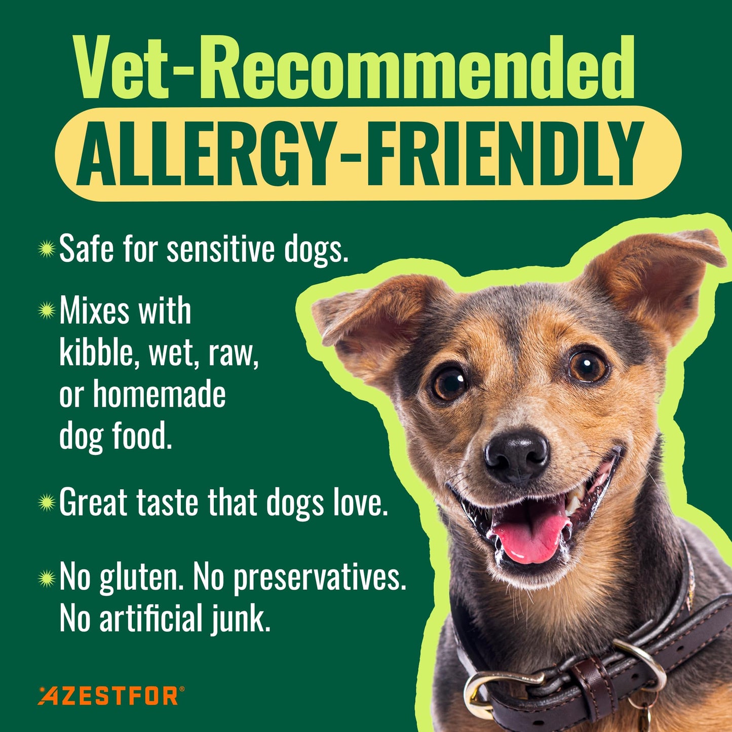 Azestfor Anti-Inflammatory Green Lipped Mussel for Dogs Powder