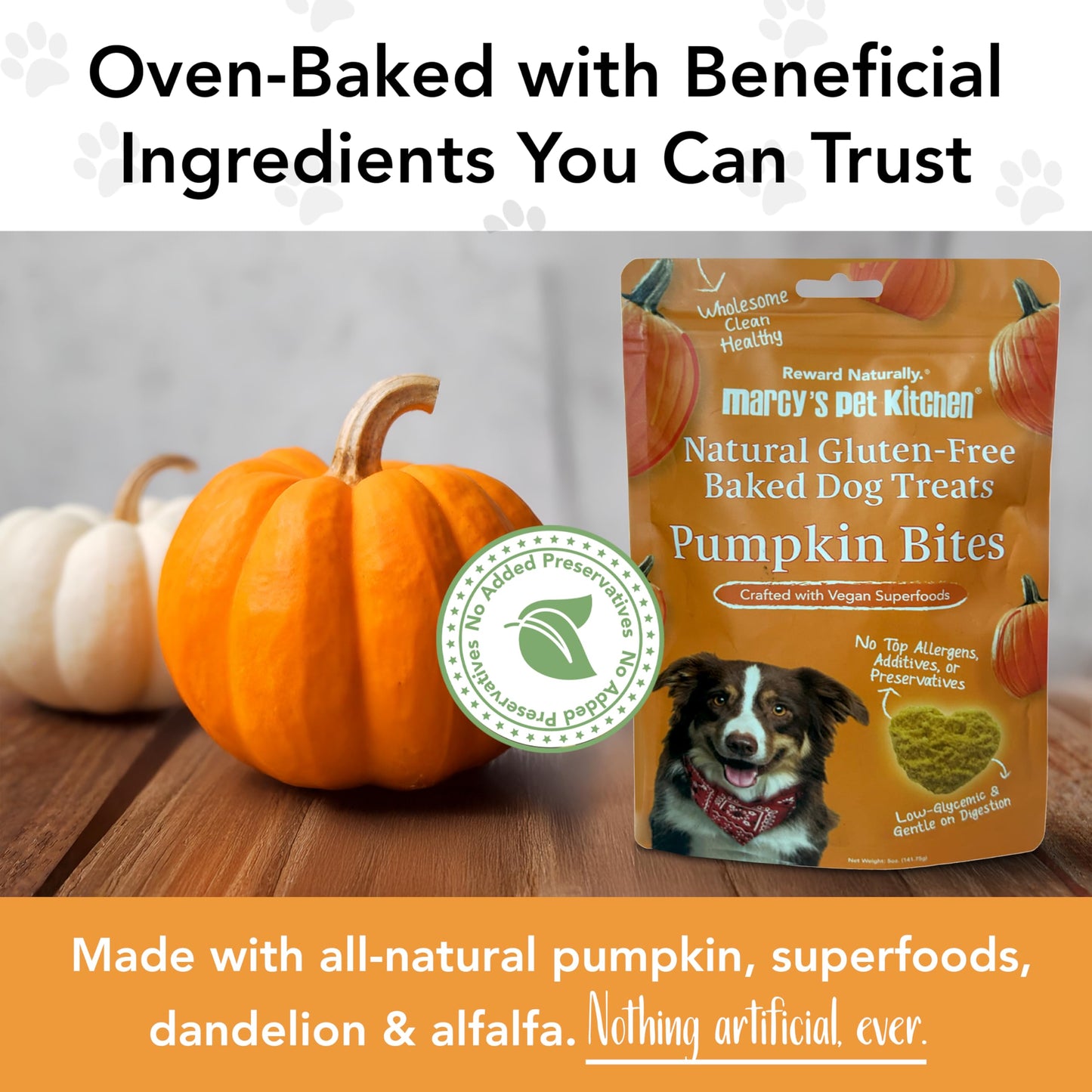 Marcy's Pet Kitchen- Diabetic All Natural, Crunchy, Pumpkin Biscuit Dog Treats - No Preservatives-Crunchy Approved- Vegan, Gluten Free, Human Grade, Made in The USA, Healthy Pumpkin Dog Treats
