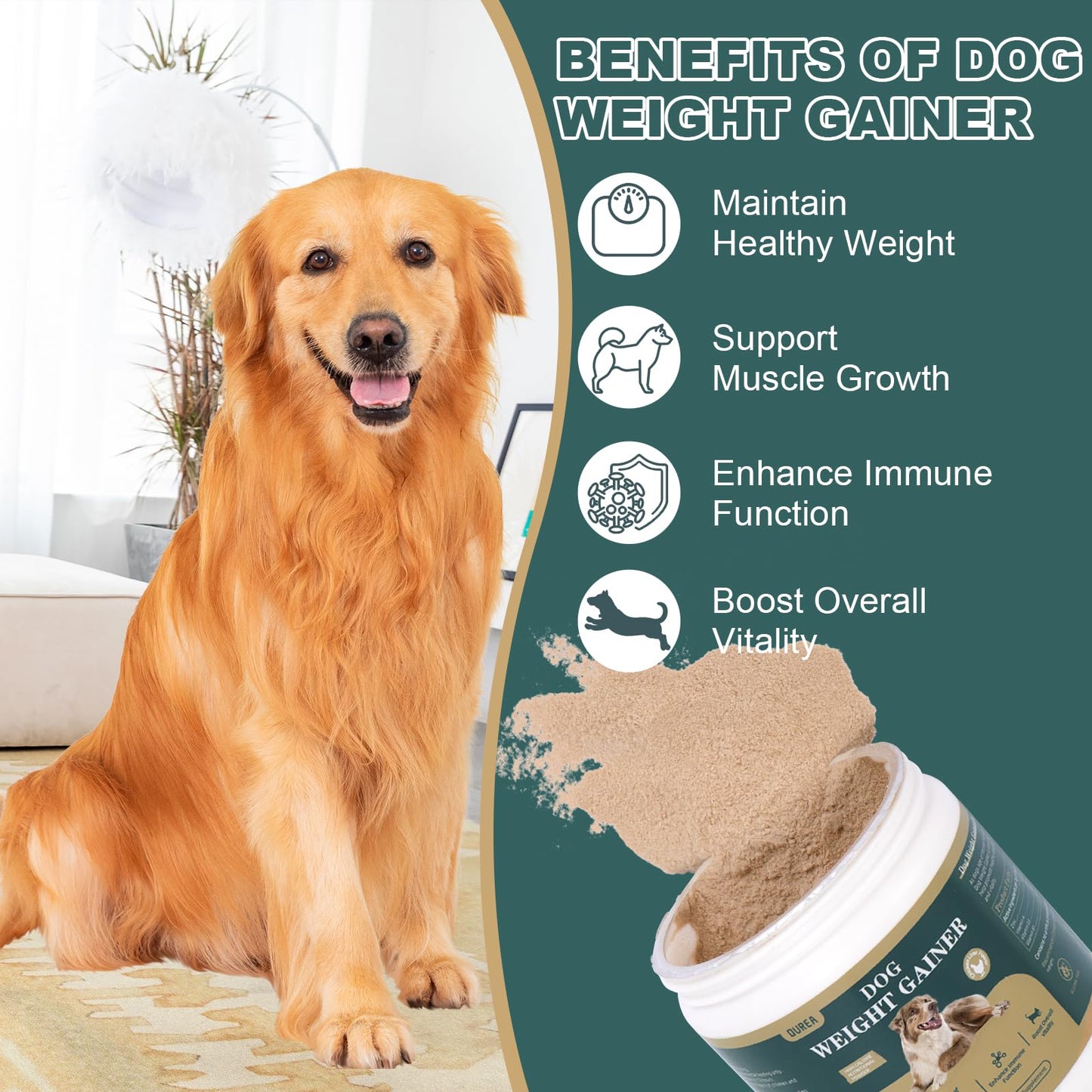 Dog Weight Gainer, High Calorie Dog Supplements, Senior Dog Supplements with Multivitamins for Support Healthy Weight & Maintain Muscle Mass, Chicken Liver Flavor, 4oz (114g)