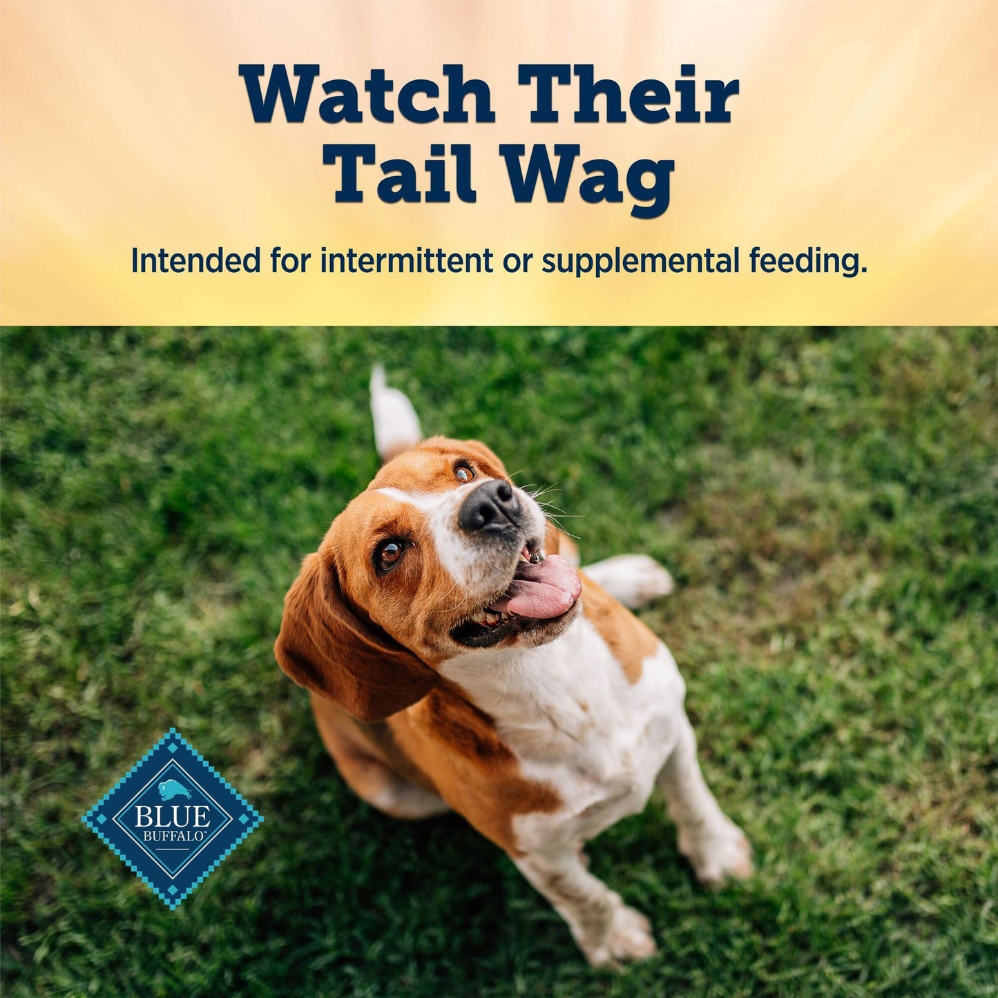 SIERRA VALLEY Freeze-Dried Salmon Dog Treats with Omega-3, Skin & Coat Health Soft Cubes, Single-Protein Limited Ingredient Diet, 2cm Easy Chew Size, Grain-Free Resealable Bag 6oz