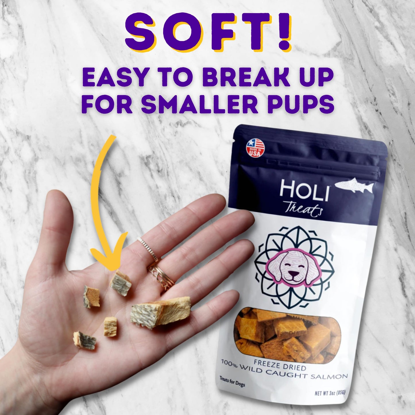 HOLI Freeze Dried Salmon Dog Treats - with Omega 3 and 6 Fish Oil - All Natural - Human Grade - Wild Caught Salmon with Skin - Made in USA - Grain Free - Diabetic Friendly