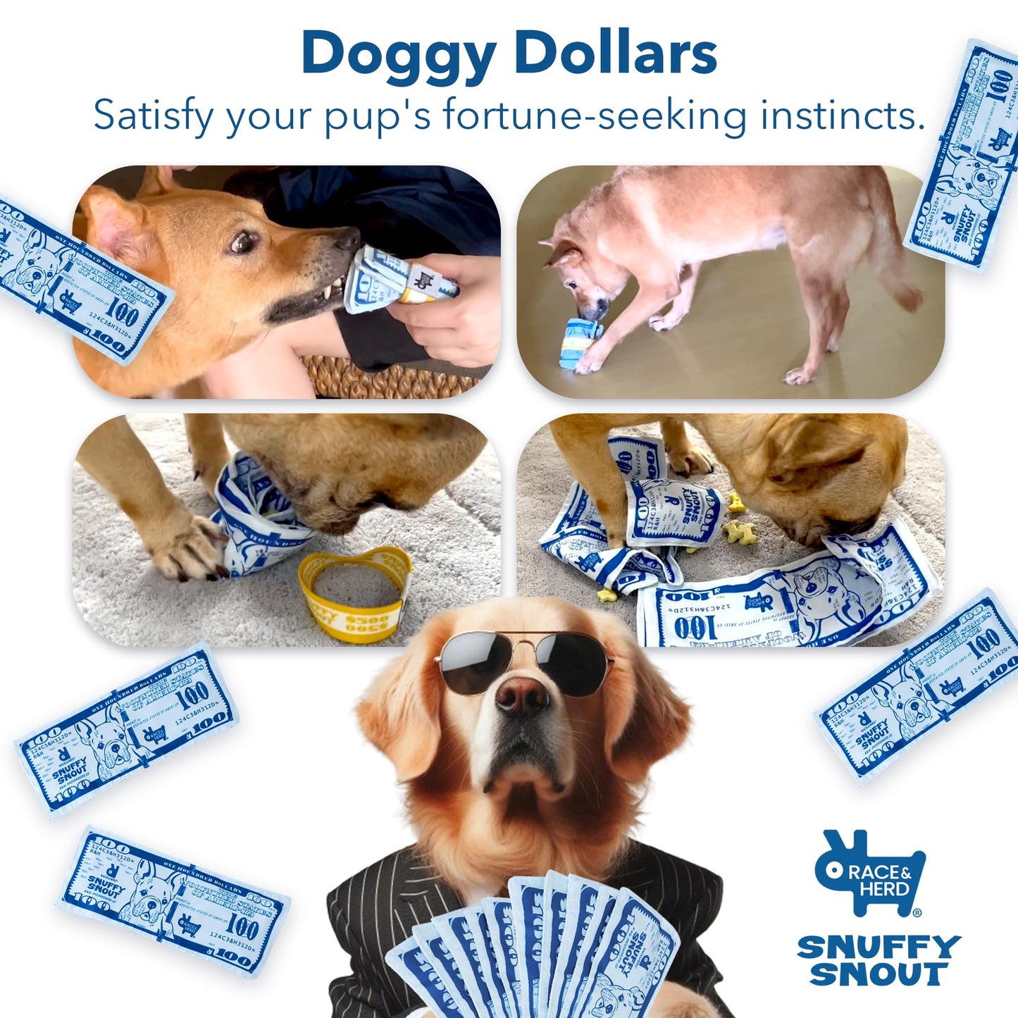 Race&Herd Dog Puzzle Toy - Snuffle Mat for Dogs Puzzle Feeder, Dog Enrichment Toys for Dogs, Interactive Pet Enrichment Toys Small Dogs, Puppy Mental Stimulation Puzzle Toy, Snuffle Money for Puppies