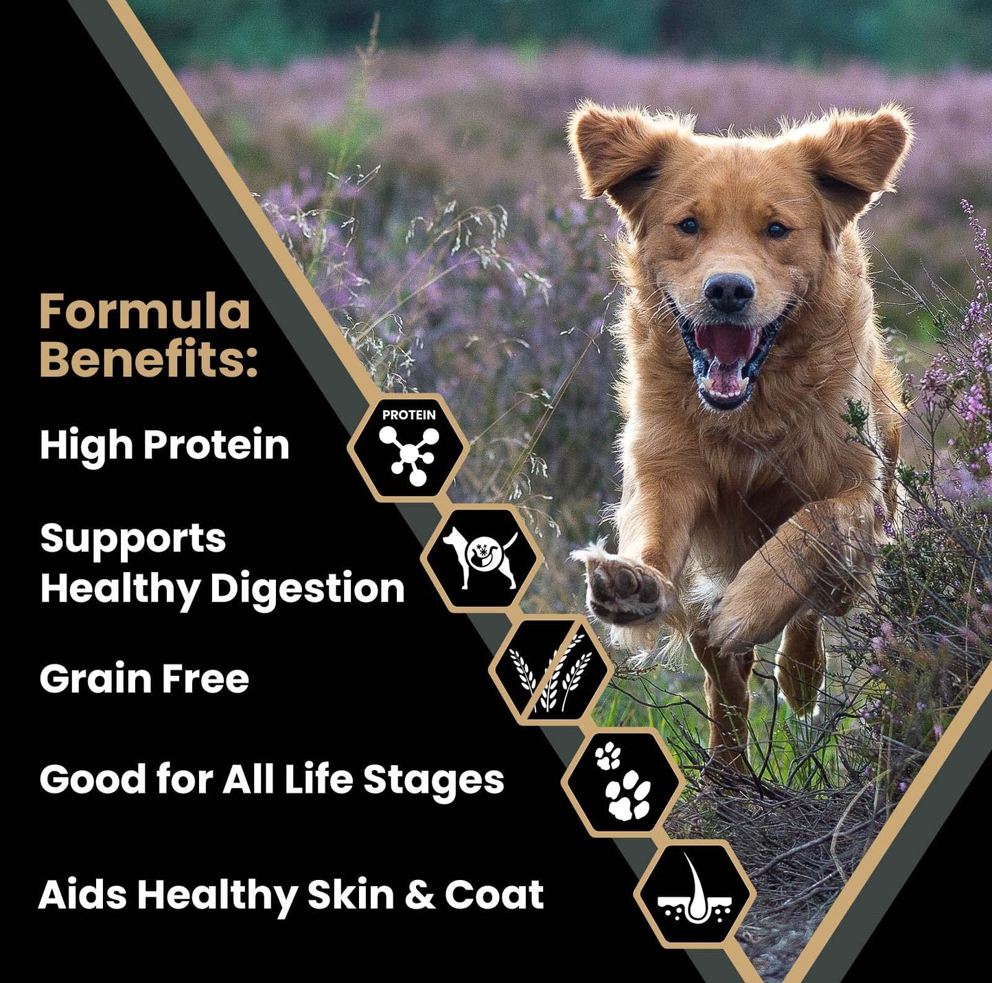 VICTOR Super Premium Dog Food – Grain Free Ultra Pro Kibble – High Protein, Low Carb for Active Dogs – 42% Protein Kibble for Sporting Dogs of All Breeds & Sizes, 5 lb