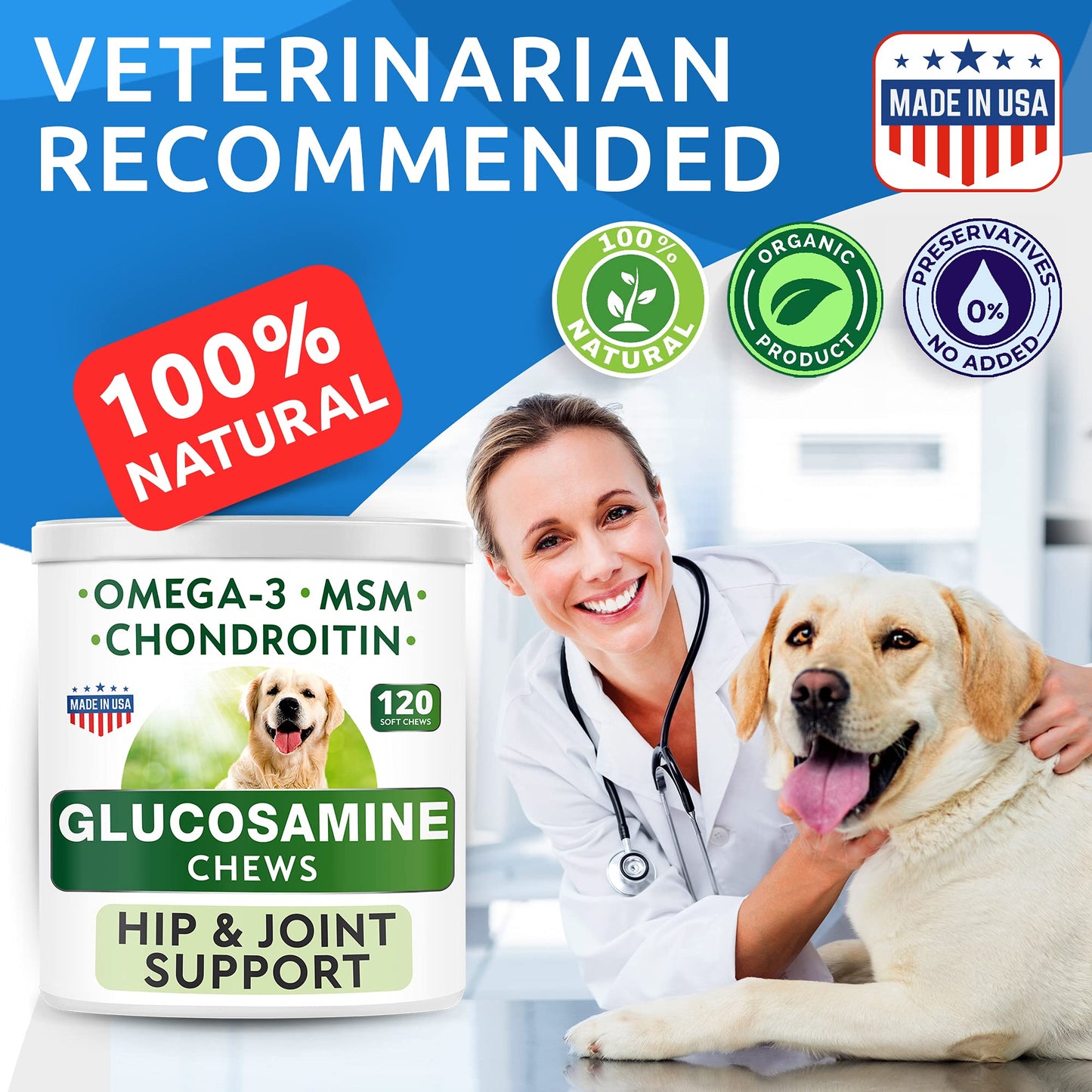 Glucosamine Chondroitin Dog Hip & Joint Supplement - Joint Pain Relief - Hip & Joint Chews for Dogs - Joint Support Large Breed - Senior Doggie Vitamin Pills Joint Health - (240 Treats - Chicken)