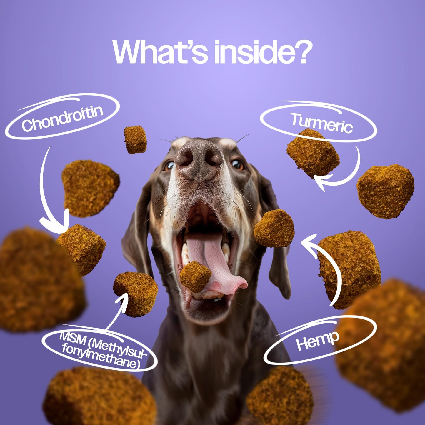 PET'S DREAM Hip and Joint Glucosamine for Dogs, Senior Advanced Joint Supplement for Dogs with Chondroitin & MSM, Dog Hip and Joint Supplement Large & Small Breed, Bacon Flavor, 130 Chews