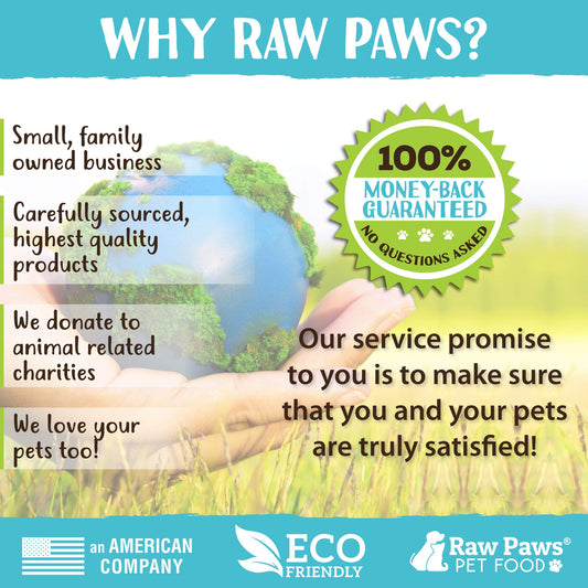 Raw Paws Lamb Pizzle Twists for Dogs, 5-9-Inch (10 Count) - USA Packed Natural Lamb Pizzle Sticks - Free-Range, Digestible Alternative Bully Sticks - Grain-Free Twist Dog Chew - Single Ingredient