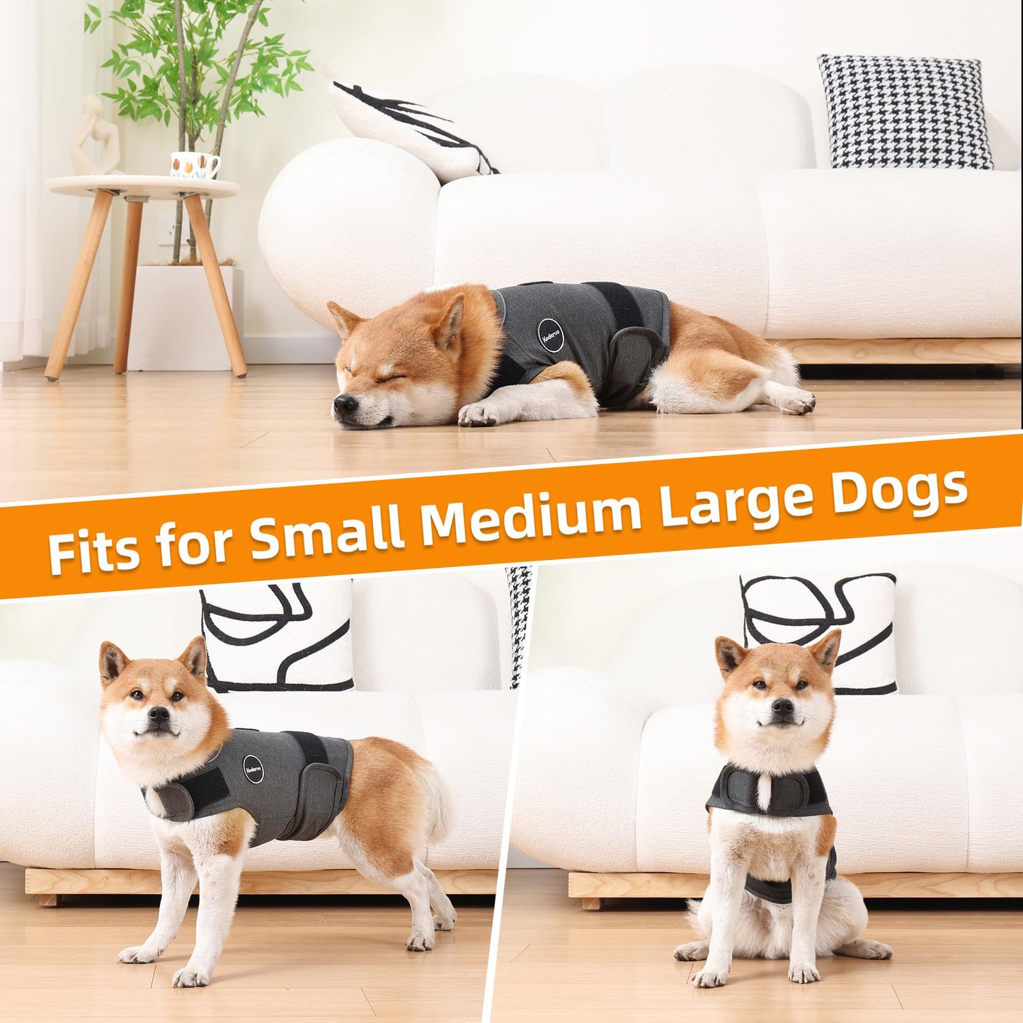 SAIJZEK. Ultrasonic Dog Trainer | Bark Deterrent Training Device | Anti Barking Silencer | Barks No More Devices | Stop Control Dogs Bad Behavior | Stopper Corrector Clicker Repellent