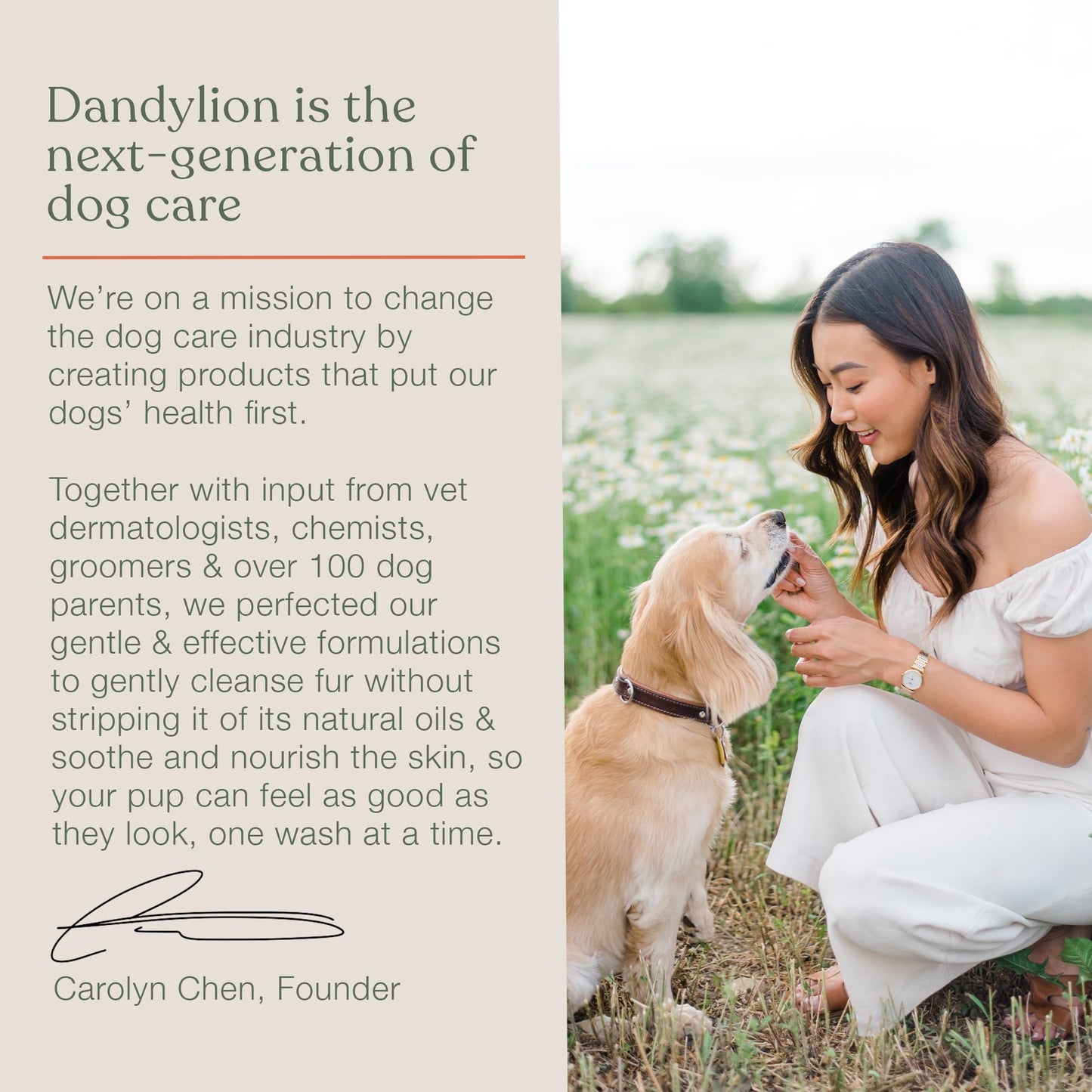 We Love Doodles Puppy Shampoo & Conditioner and Small Slicker Brush | Oatmeal Bathing | Sensitive & Itchy Skin Wash | Brush for Grooming Pet Hair | Removes Tangles & Matts | Organic - Made in USA