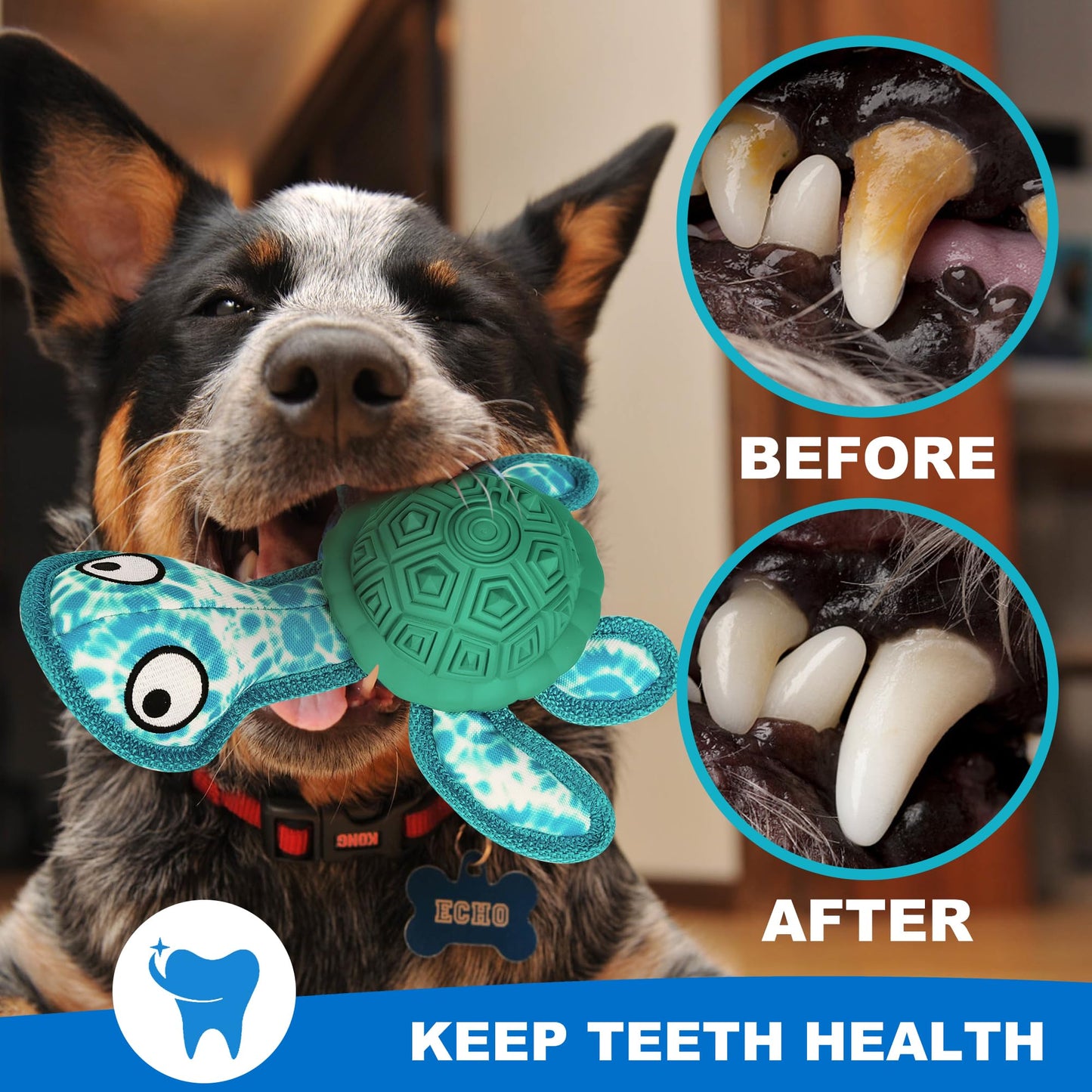 Qonline Dog Chew Toys,Puppy Teeth Chew Toys Durable Rubber Material Turtle Shape Dog Toys with 2 Tennis Ball (Green)