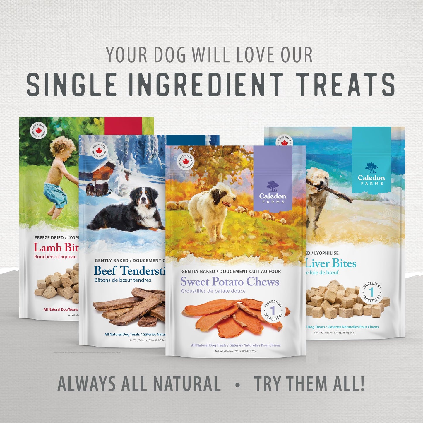 DOGSWELL Dental Chicken Jerky 12 Ounce