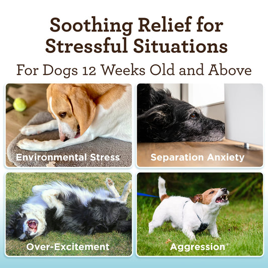VetPro Advanced Calming Aid, Dog Anxiety Treats, Enhanced with Organic Hemp Seed Oil, Veterinarian Formulated Dog Calming Treats