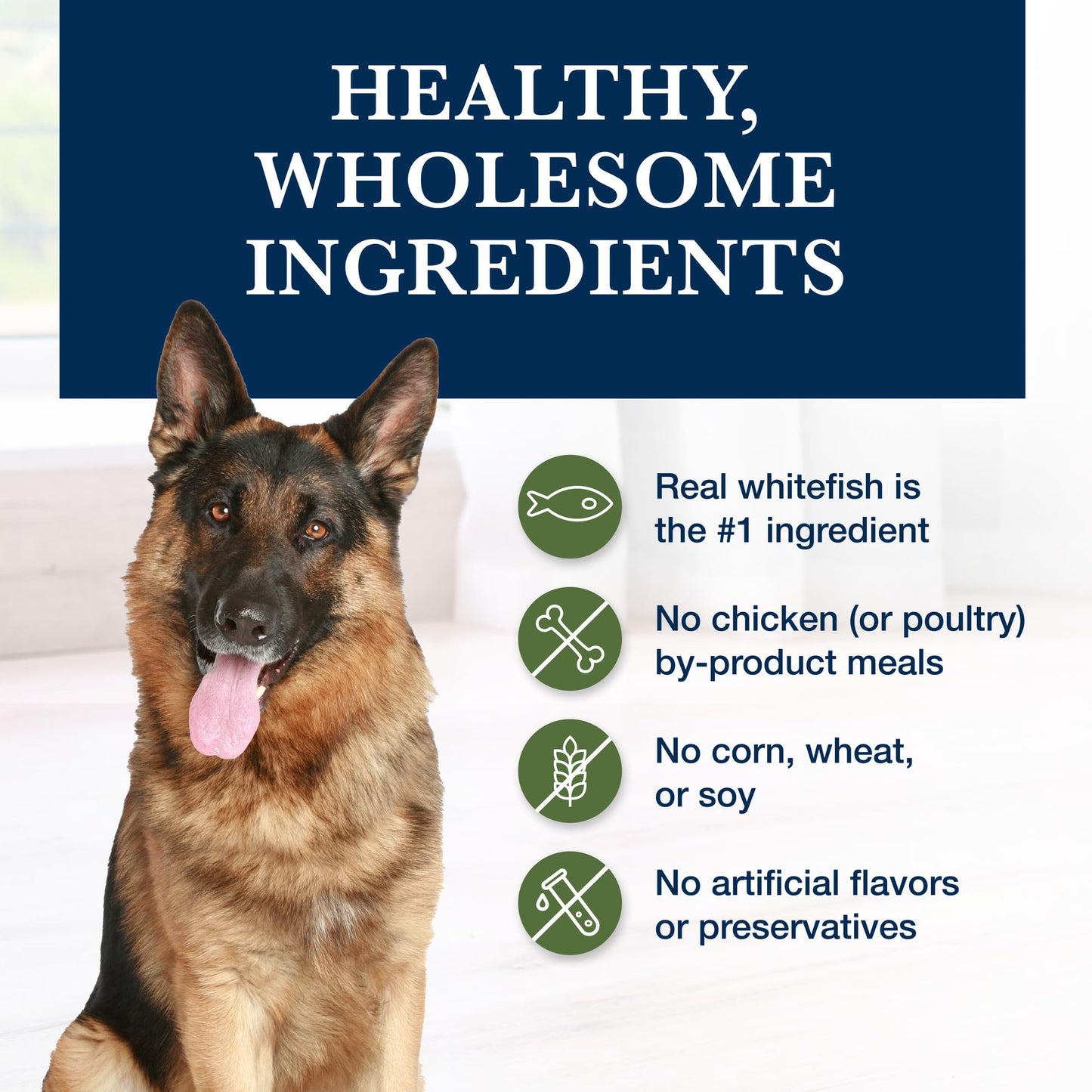 Blue Buffalo Natural Veterinary Diet GI Low Fat Gastrointestinal Support Wet Dog Food, Veterinarian's Prescription Required, Whitefish, 12.5-oz Can (Pack of 12)