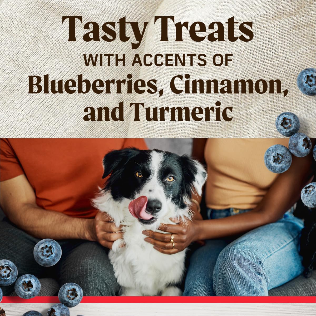 Merrick Healthy Bites Grain Free Dog Treats, Soft Treats with Bone Broth for Dogs, Beef and Bone Broth Recipe - 16 oz. Pouch