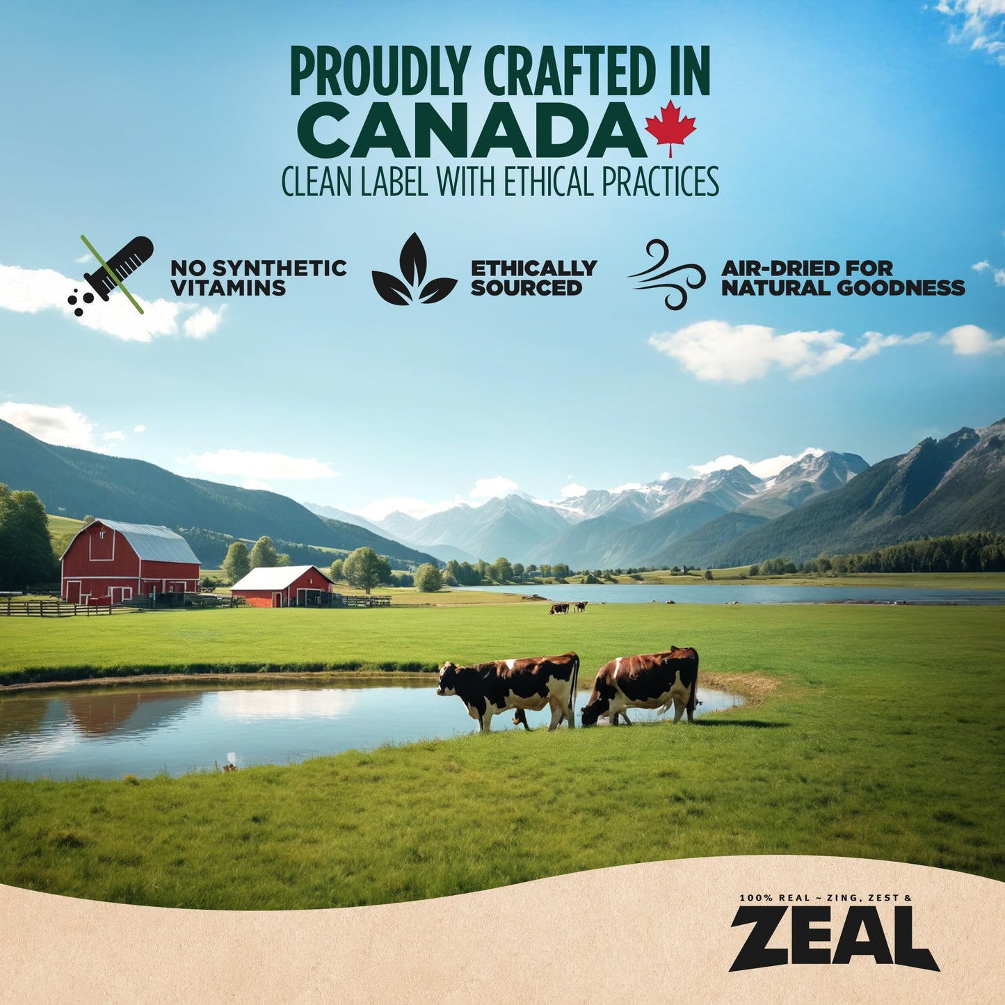 ZEAL Canada Air-Dried Beef Recipe for Dogs - High Protein, Natural Superfoods, Nutrient Rich, No Fillers, Grain Free, Complete & Balanced (Beef, 1 lb)