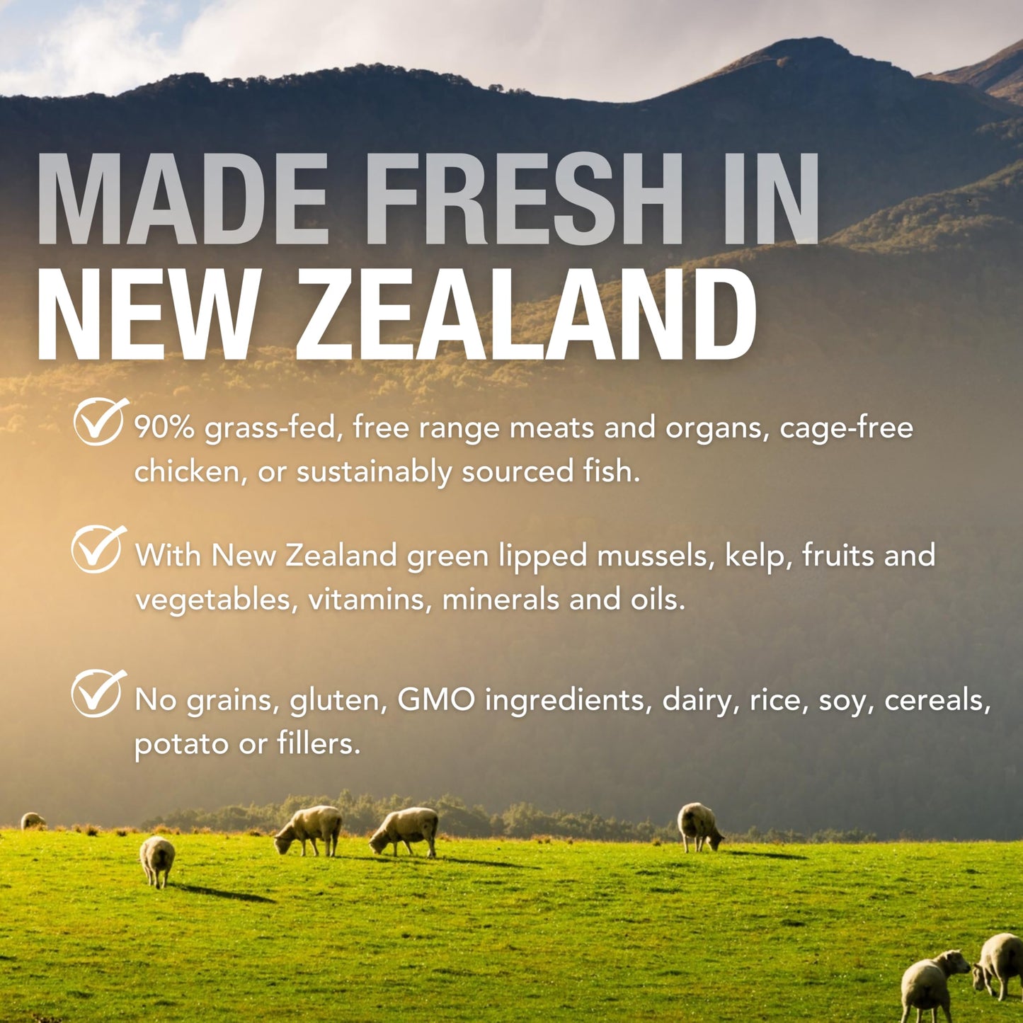 K9 Natural Wet Dog Food Pate, Lamb Feast, 13 Oz Cans (Pack of 12), Grain Free, Made in New Zealand with Grass-Fed, Free-Range Lamb, Single Source, Limited Ingredient