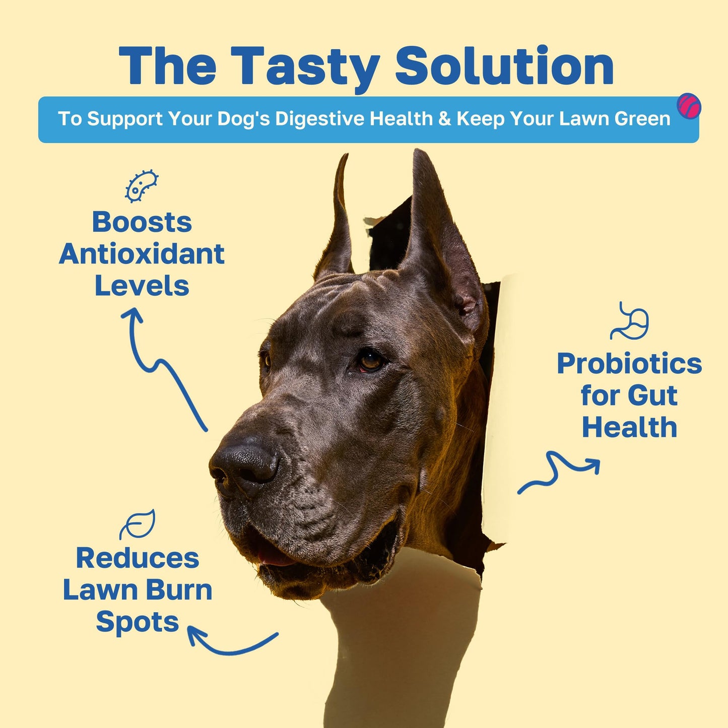 Happy Paws Lawn Saver Dog Chews, Dog Urine Neutralizer, Green Lawn Chews For Dogs, Digestive & Gut Health Supplement With Sweet Potato, Spirulina & Probiotics, Organic, Vegan, American Made, 100 Count