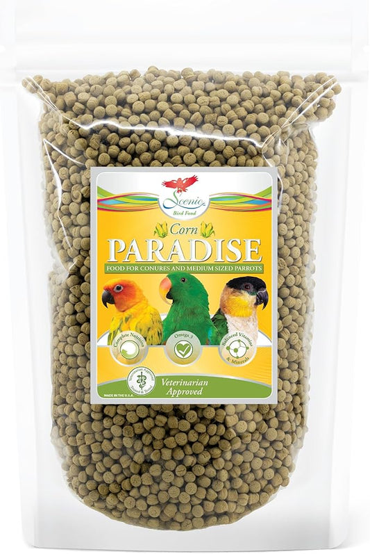 Scenic Corn Paradise Premium Parrot Food - Natural Flavors, High Protein, Low Iron Conure Bird Food, Eclectus & Other Small Pet Parrots, Omega 3, Vitamins & Minerals, 2 LB Bag