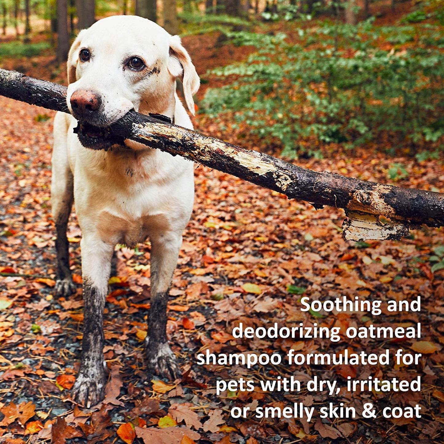Healthy Breeds Cane Corso Hypo-Allergenic Shampoo 8 oz