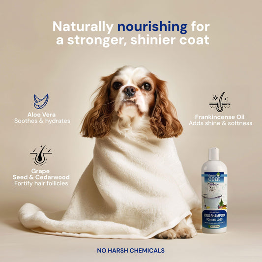 Green Coat Natural Dog Shampoo for Hair Loss with Grapeseed, Aloe & Cedarwood, Gentle Shampoo Specially Formulated to Beautify The Dogs Coat, USA Made, 16fl oz 473 ml.