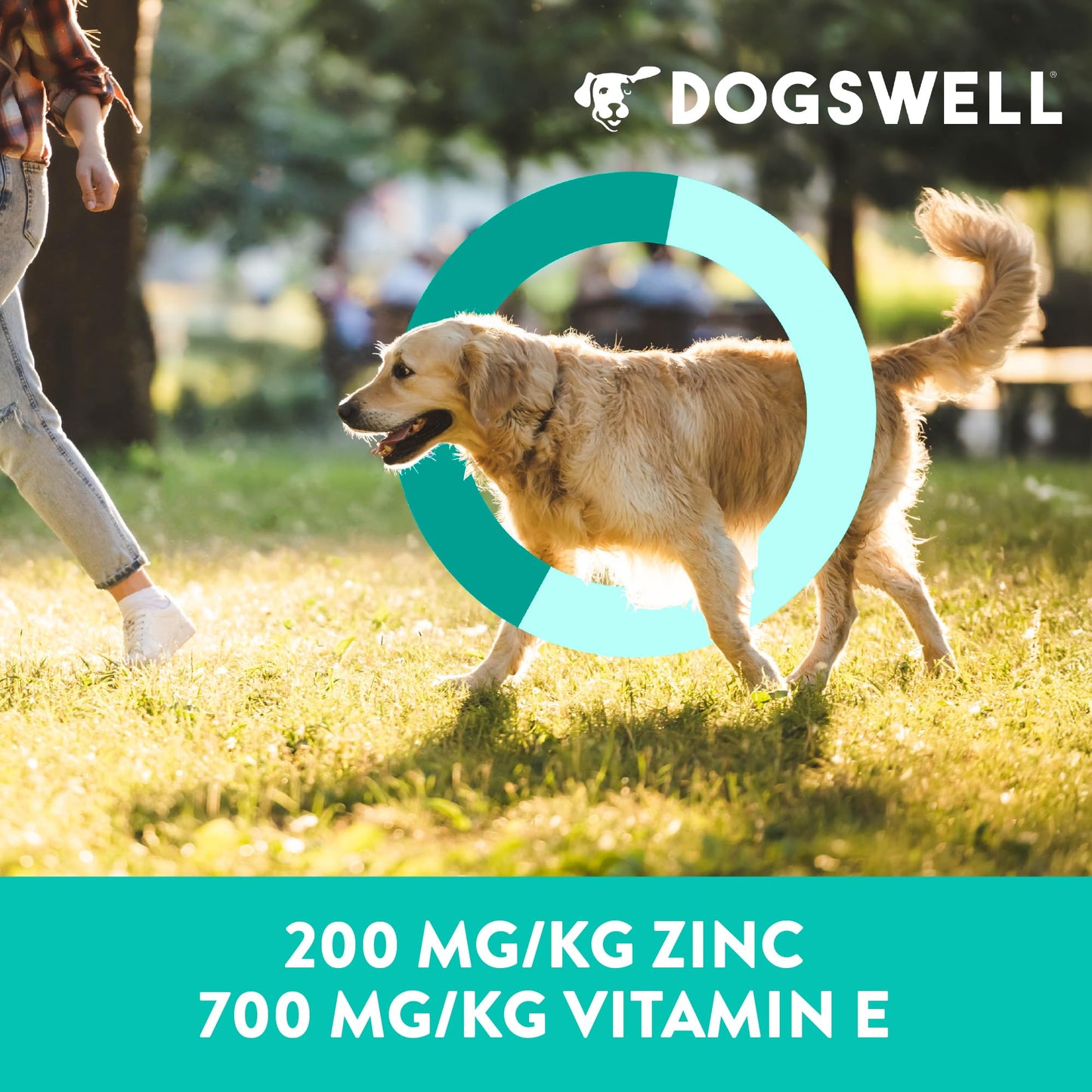 Dogswell Skin & Coat Jerky Dog Treats, Salmon, 10 oz. Bag