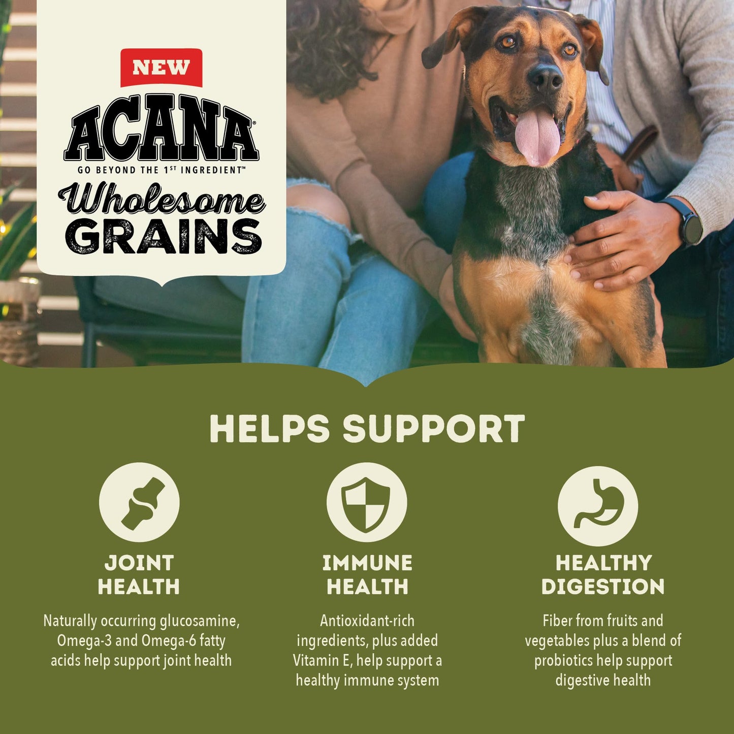 ACANA Wholesome Grains Dry Dog Food Large Breed Adult Recipe 22.5lb Bag
