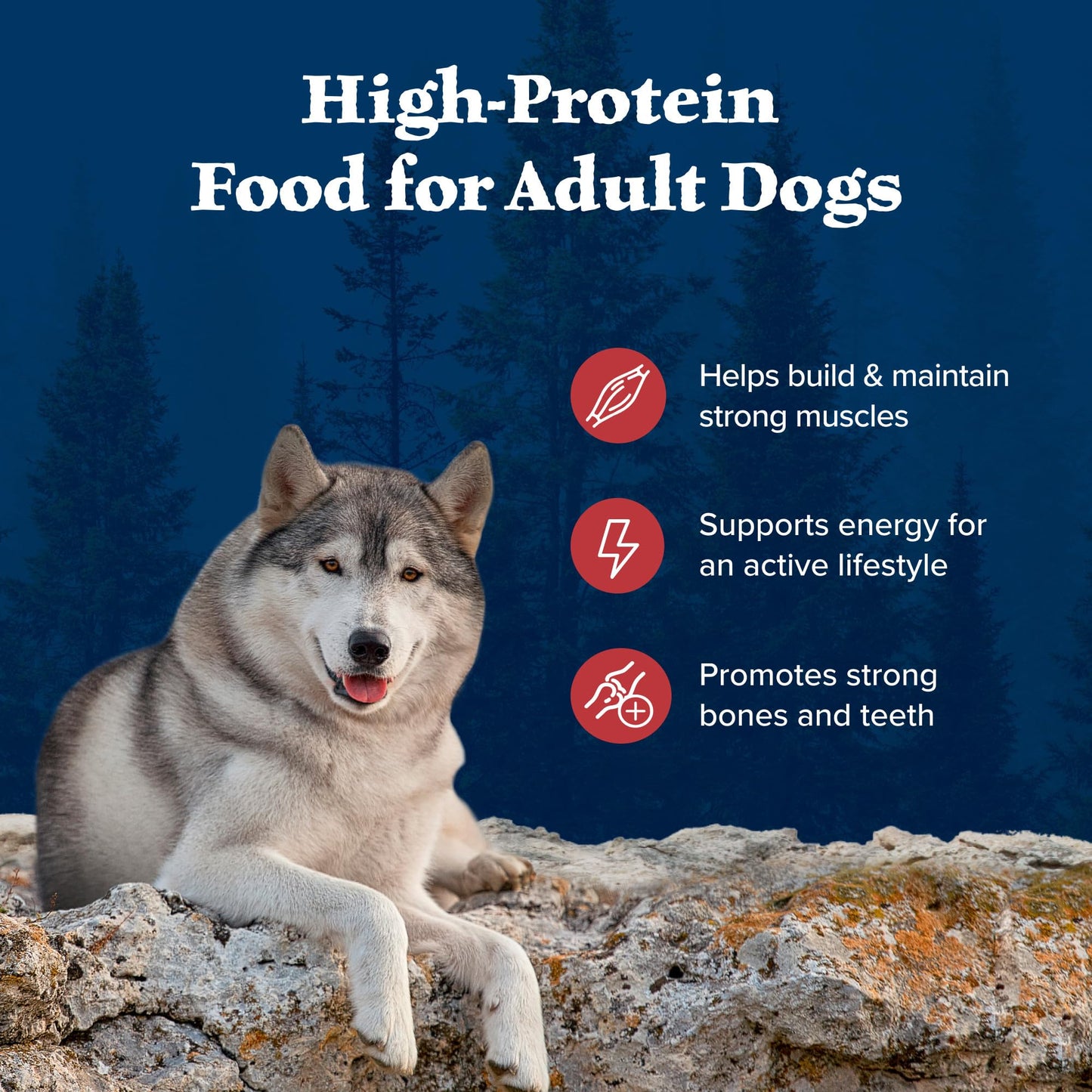 Blue Buffalo Wilderness Rocky Mountain High-Protein Adult Dry Dog Food Wholesome Grains Red Meat, 24lb. Bag