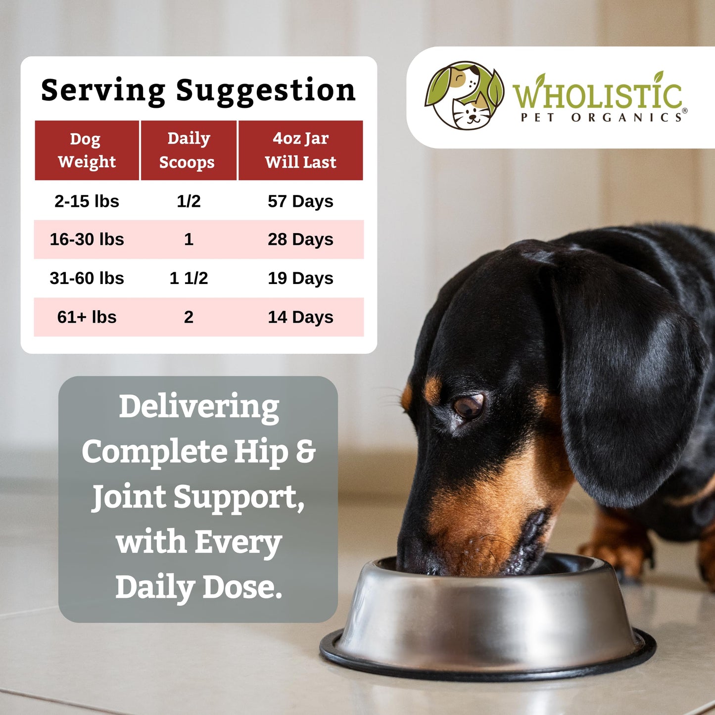 Wholistic Pet Organics Joint Supplement for Dogs - 4 Oz - Daily Dog Hip and Joint Supplement with Glucosamine Chondroitin & MSM to Support Mobility - All Breeds & Ages - Organic Glucosamine for Dogs