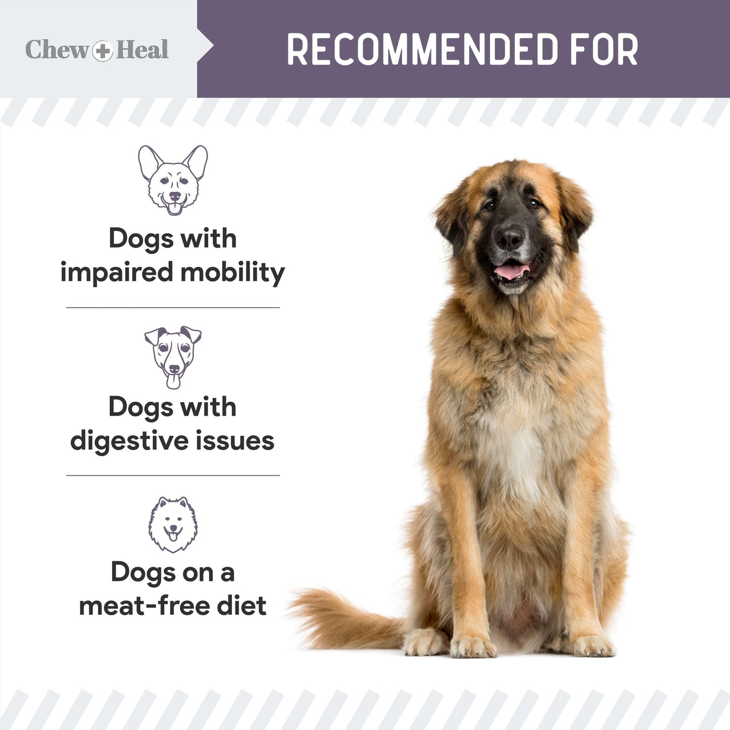 Seniors Soft Jerky Salmon Dog Treats - 12 oz of Omega Dog Joint Supplement, Wild Caught Salmon and Turmeric Jerky - Made in The USA