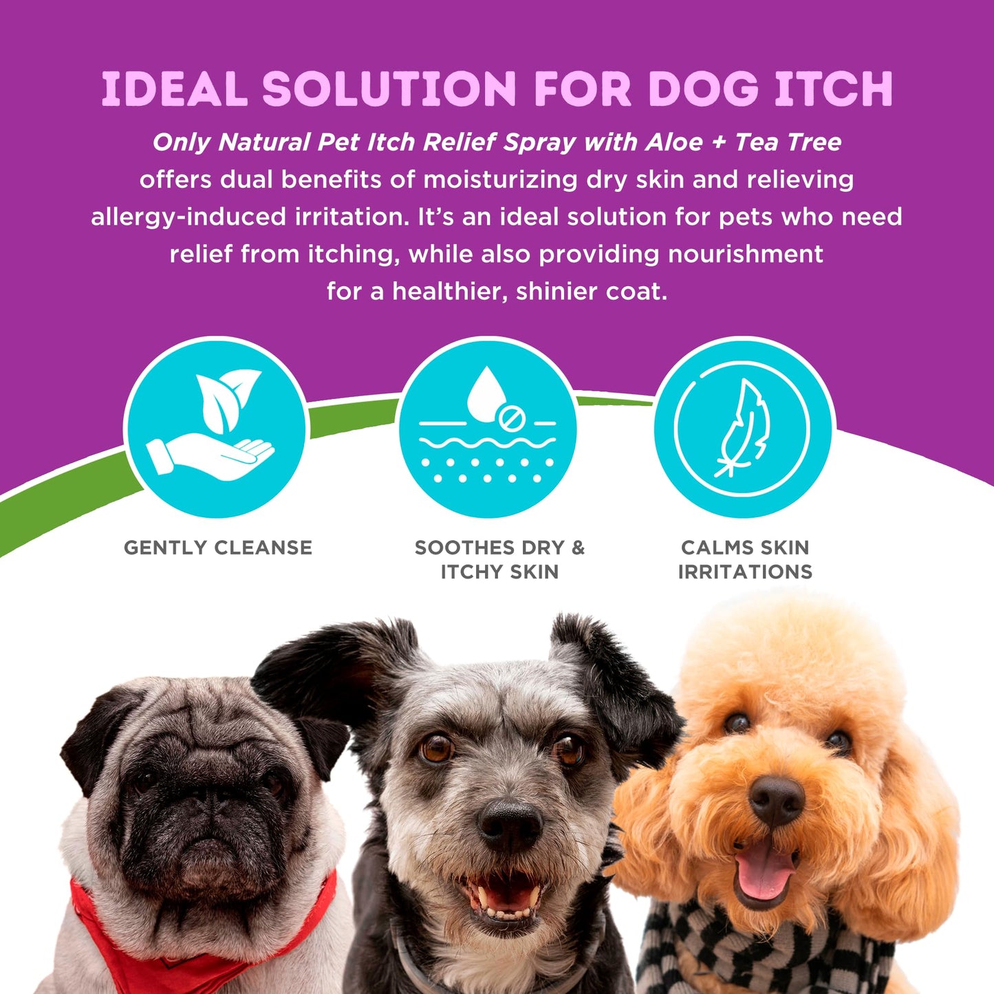 Only Natural Pet Itch Relief Spray with Aloe + Tea Tree for Dogs, Anti Itch Spray for Dogs Allergies to Soothe Dry Irritated Skin and Itchy Skin Relief - 8 oz