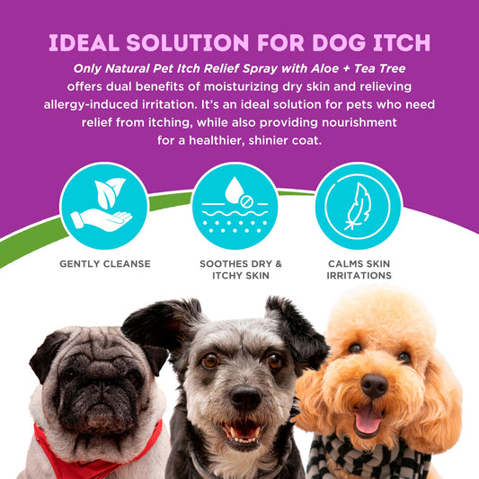 Only Natural Pet Itch Relief Spray with Aloe + Tea Tree for Dogs, Anti Itch Spray for Dogs Allergies to Soothe Dry Irritated Skin and Itchy Skin Relief - 8 oz